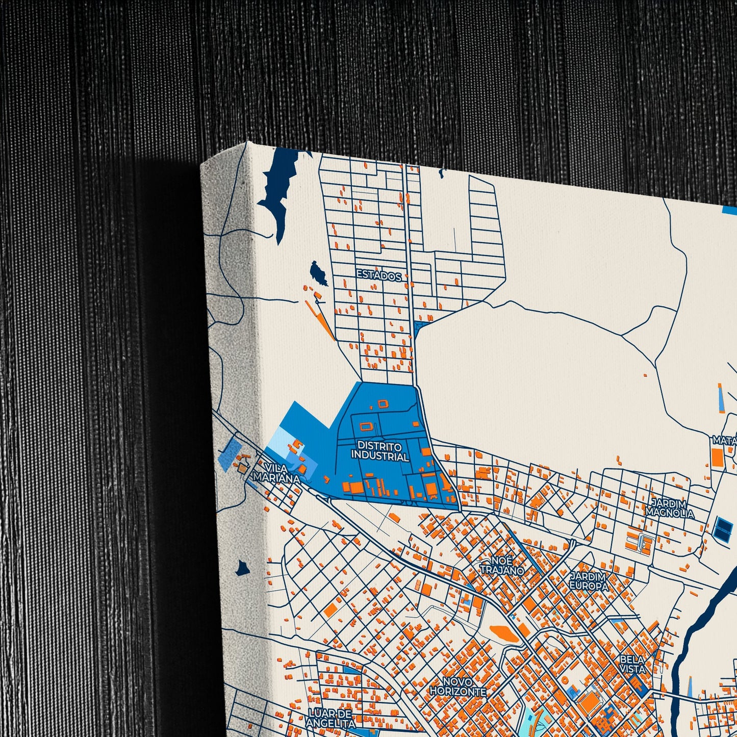 Patos Brazil Colorful City Map Canvas Print Detail