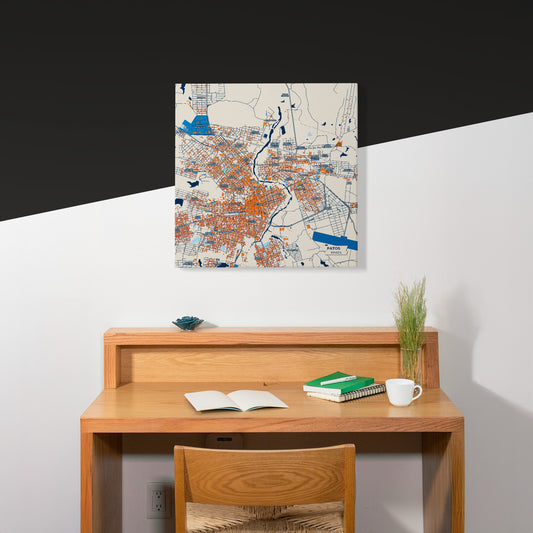 Patos Brazil Colorful City Map Canvas Print Scene