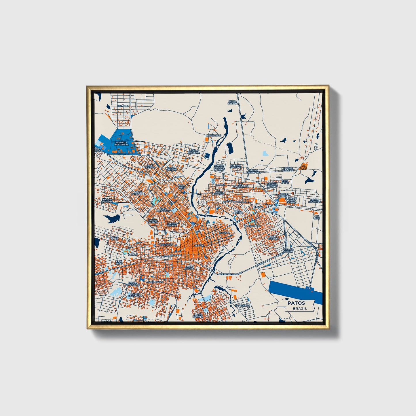 Patos Brazil Colorful City Map Canvas Print • Gold Framed