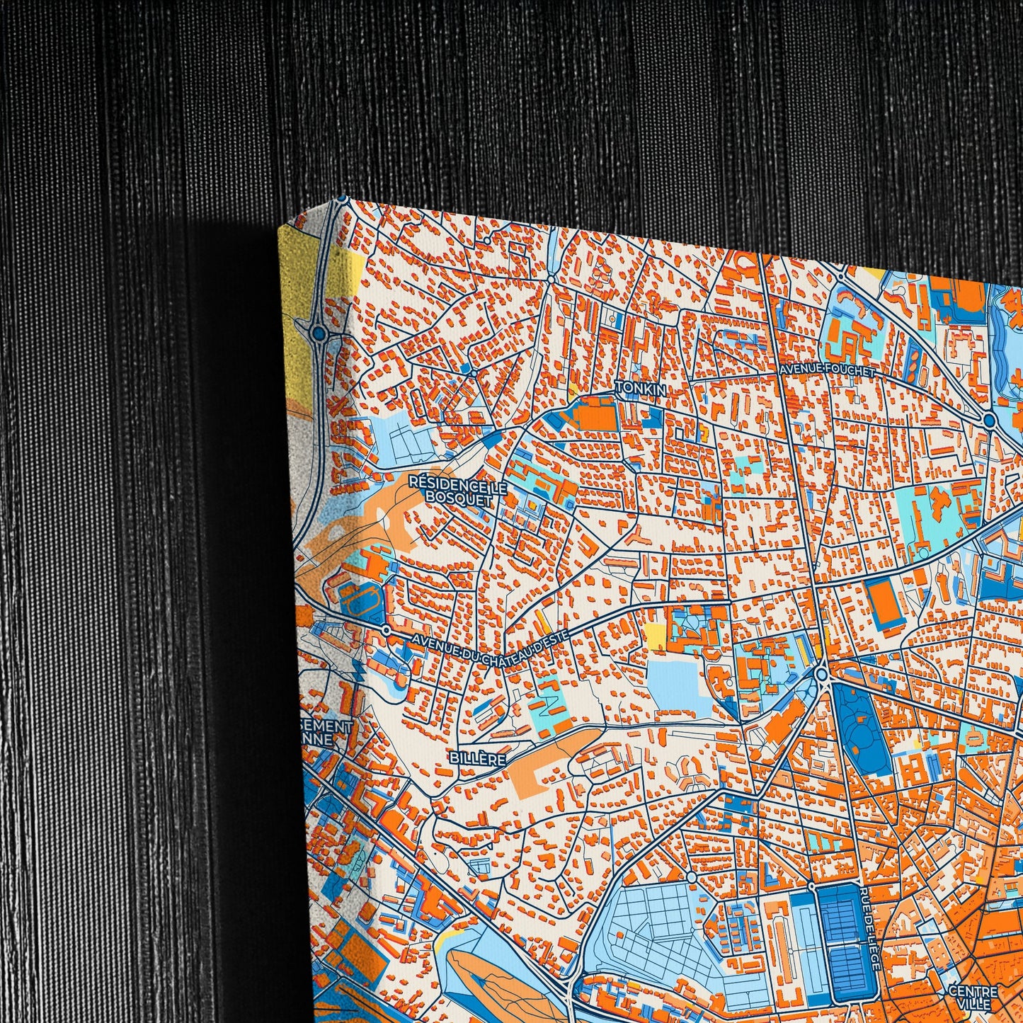 Pau France Colorful City Map Canvas Print Detail