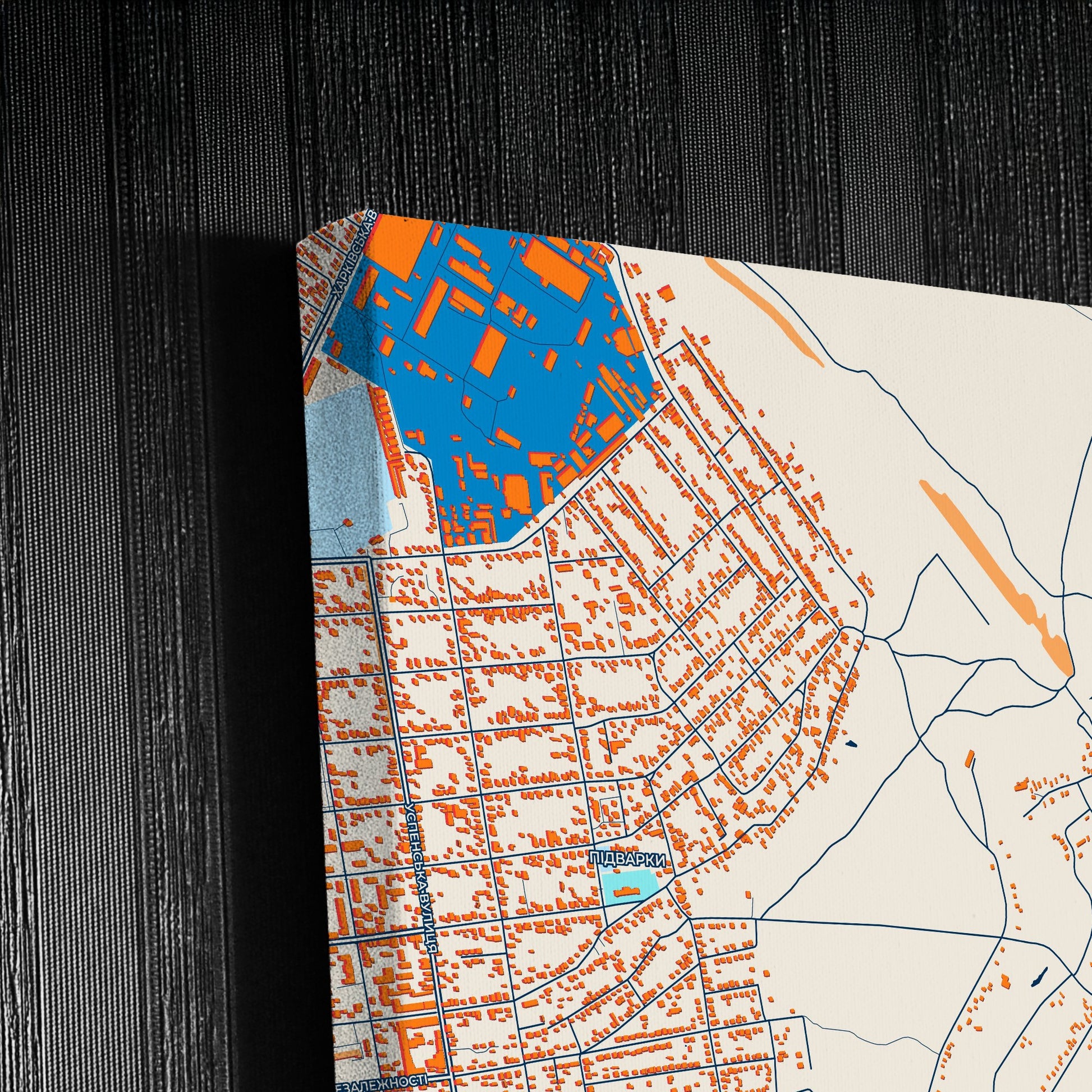 Павлоград Ukraine Colorful City Map Canvas Print Detail