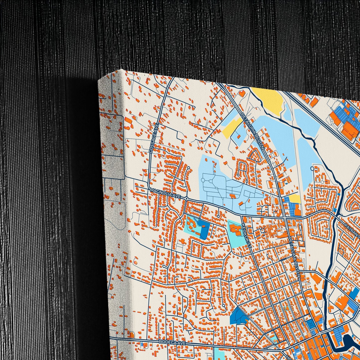 Petaluma California Colorful City Map Canvas Print Detail