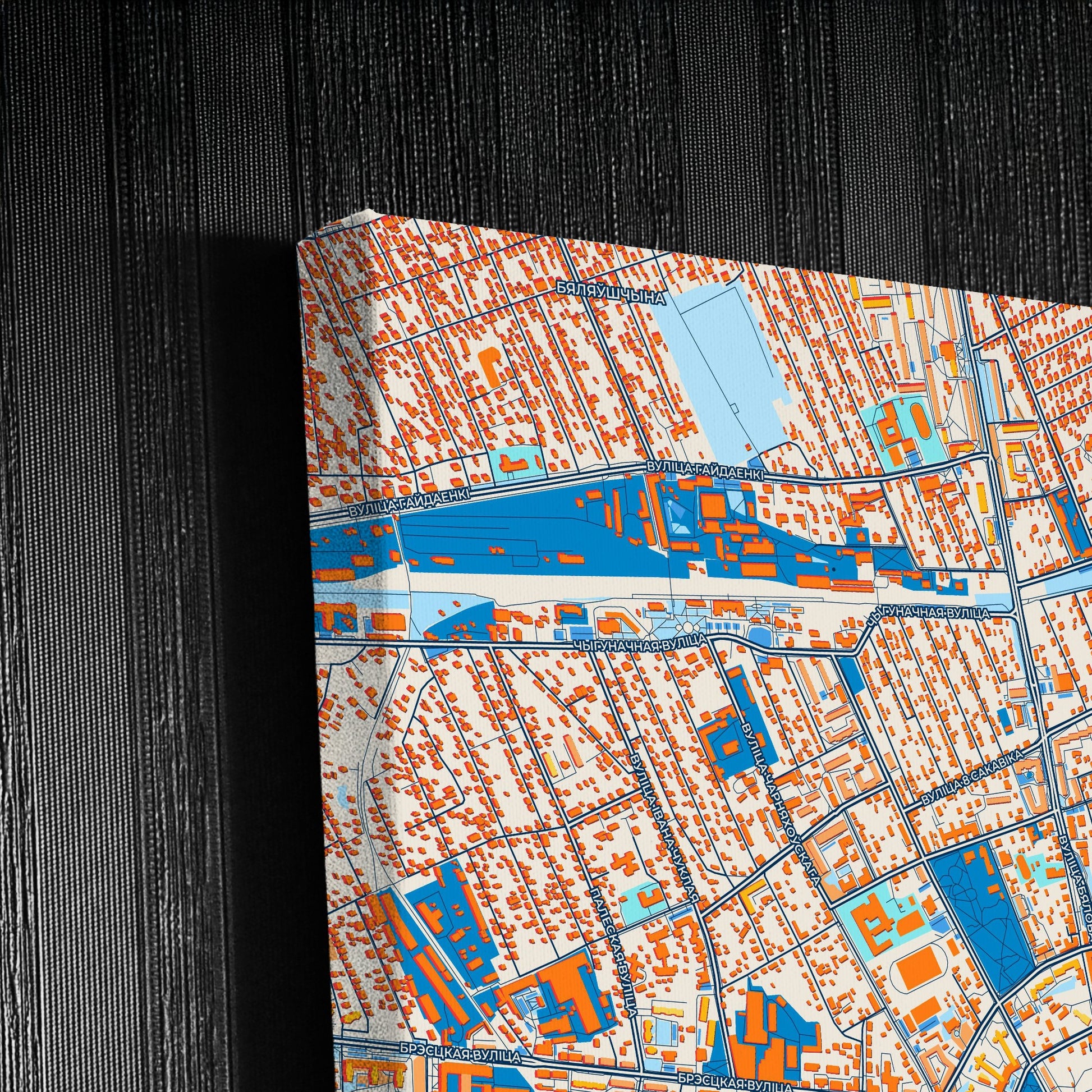 Пінск Belarus Colorful City Map Canvas Print Detail