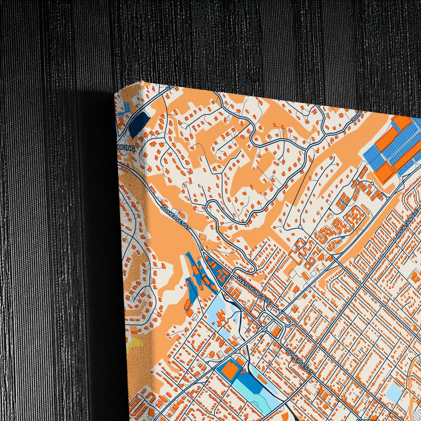 Plainfield New Jersey Colorful City Map Canvas Print Detail