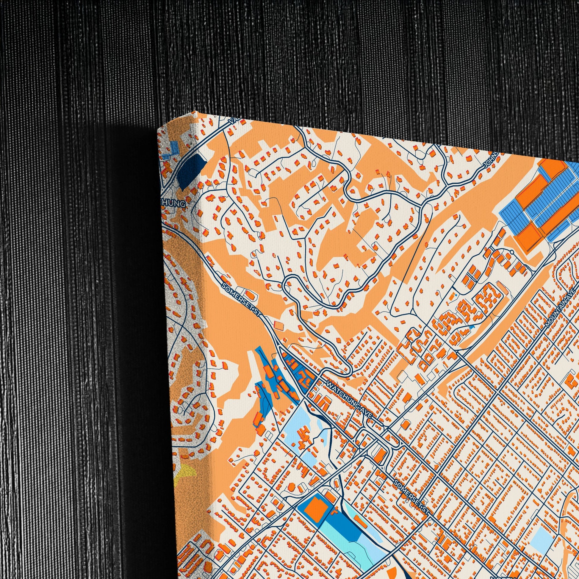 Plainfield New Jersey Colorful City Map Canvas Print Detail