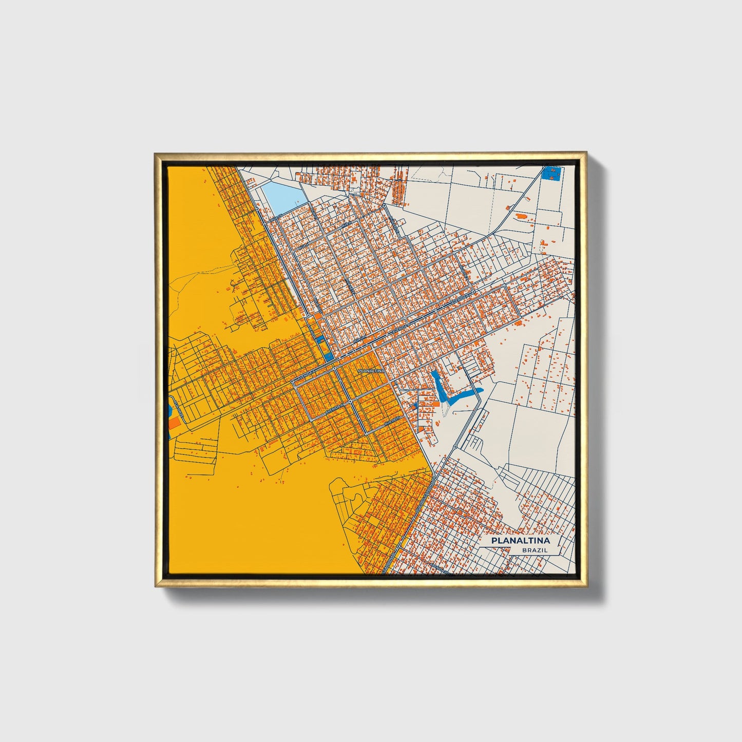 Planaltina Brazil Colorful City Map Canvas Print • Gold Framed