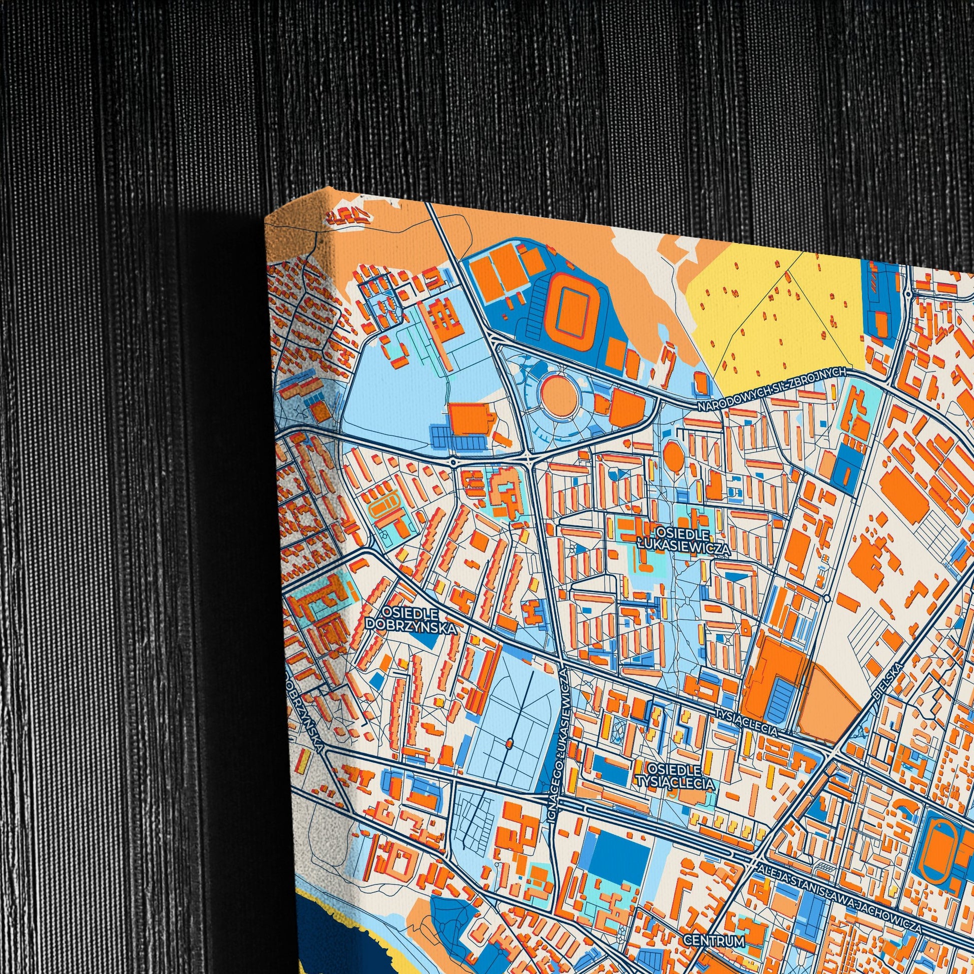 Płock Poland Colorful City Map Canvas Print Detail