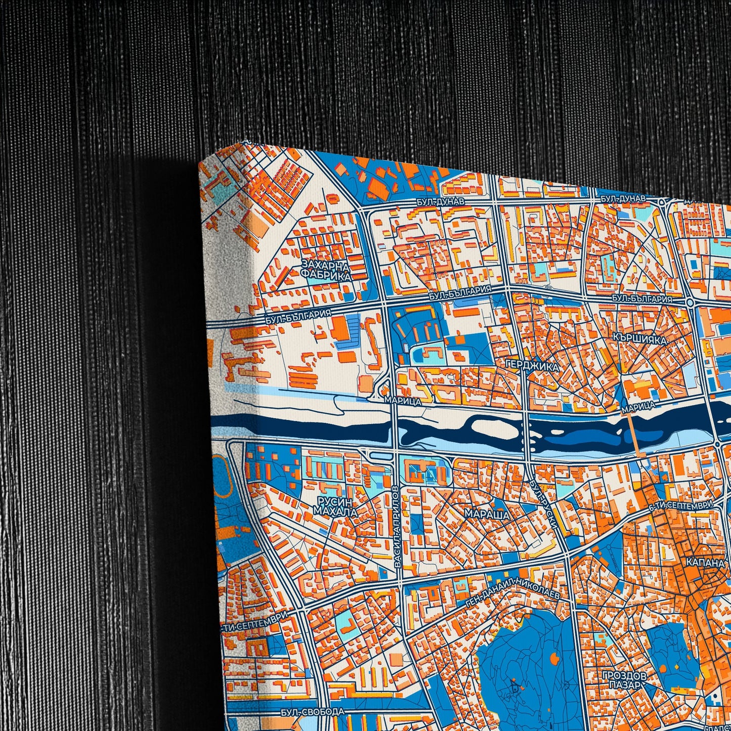 Пловдив Bulgaria Colorful City Map Canvas Print Detail