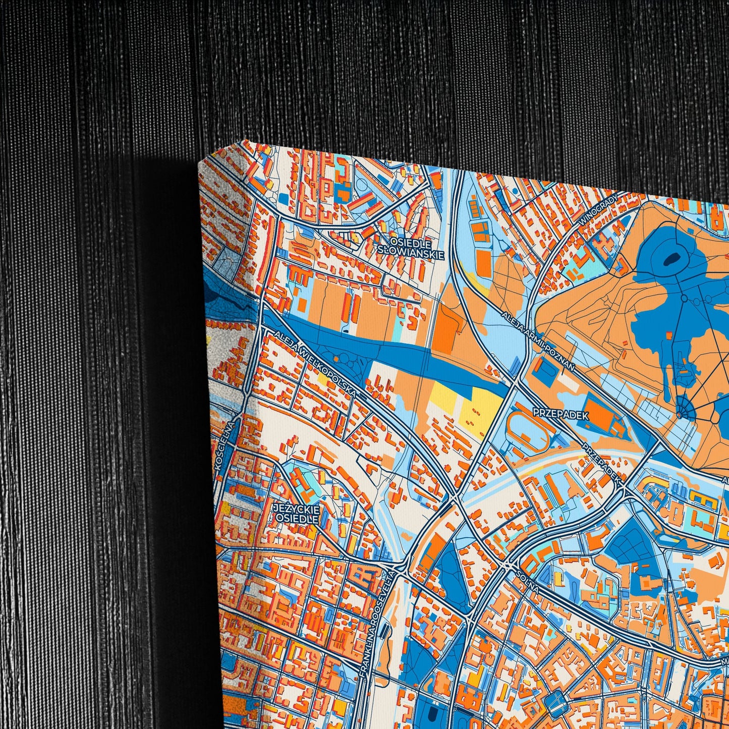 Poznań Poland Colorful City Map Canvas Print Detail