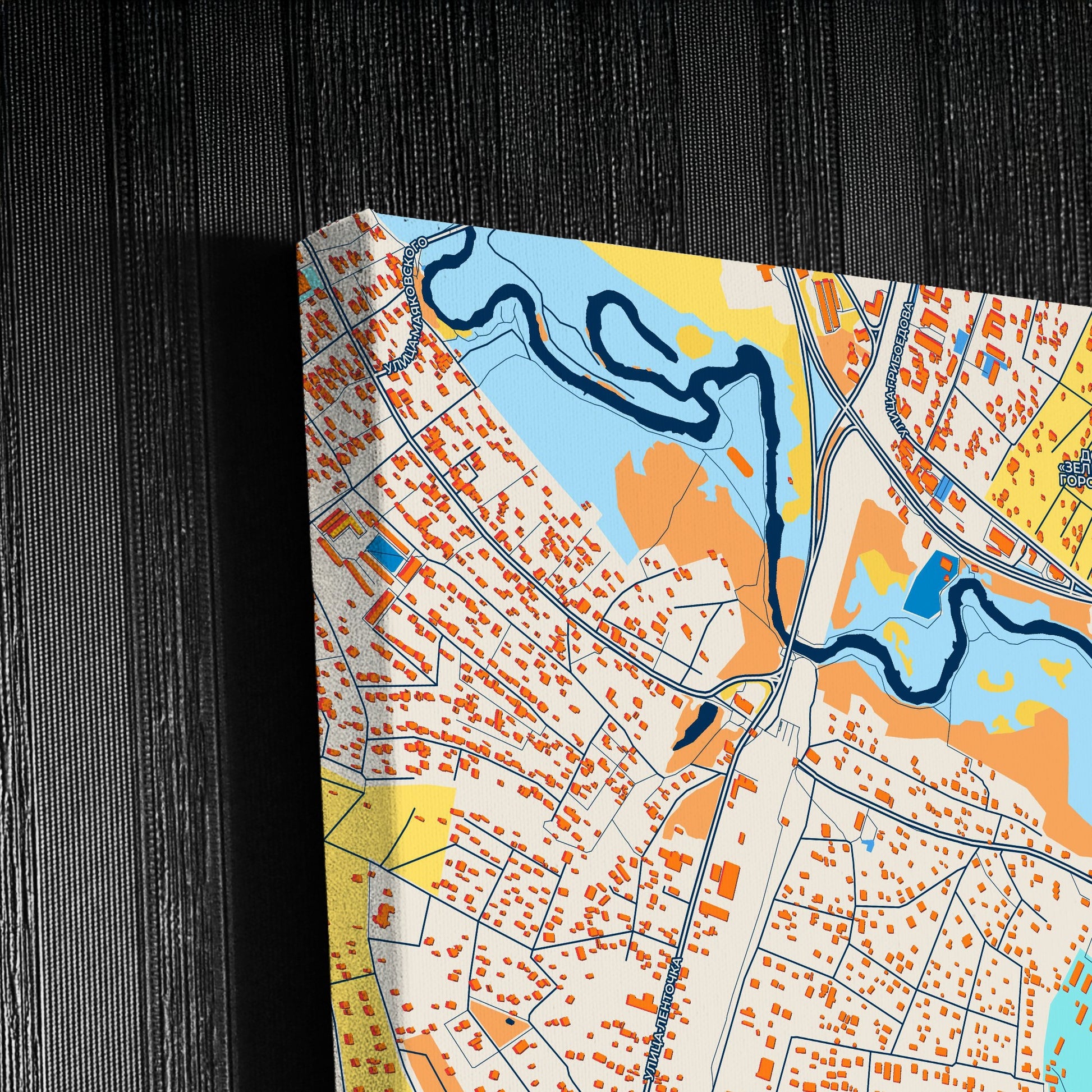 Пушкино Russia Colorful City Map Canvas Print Detail