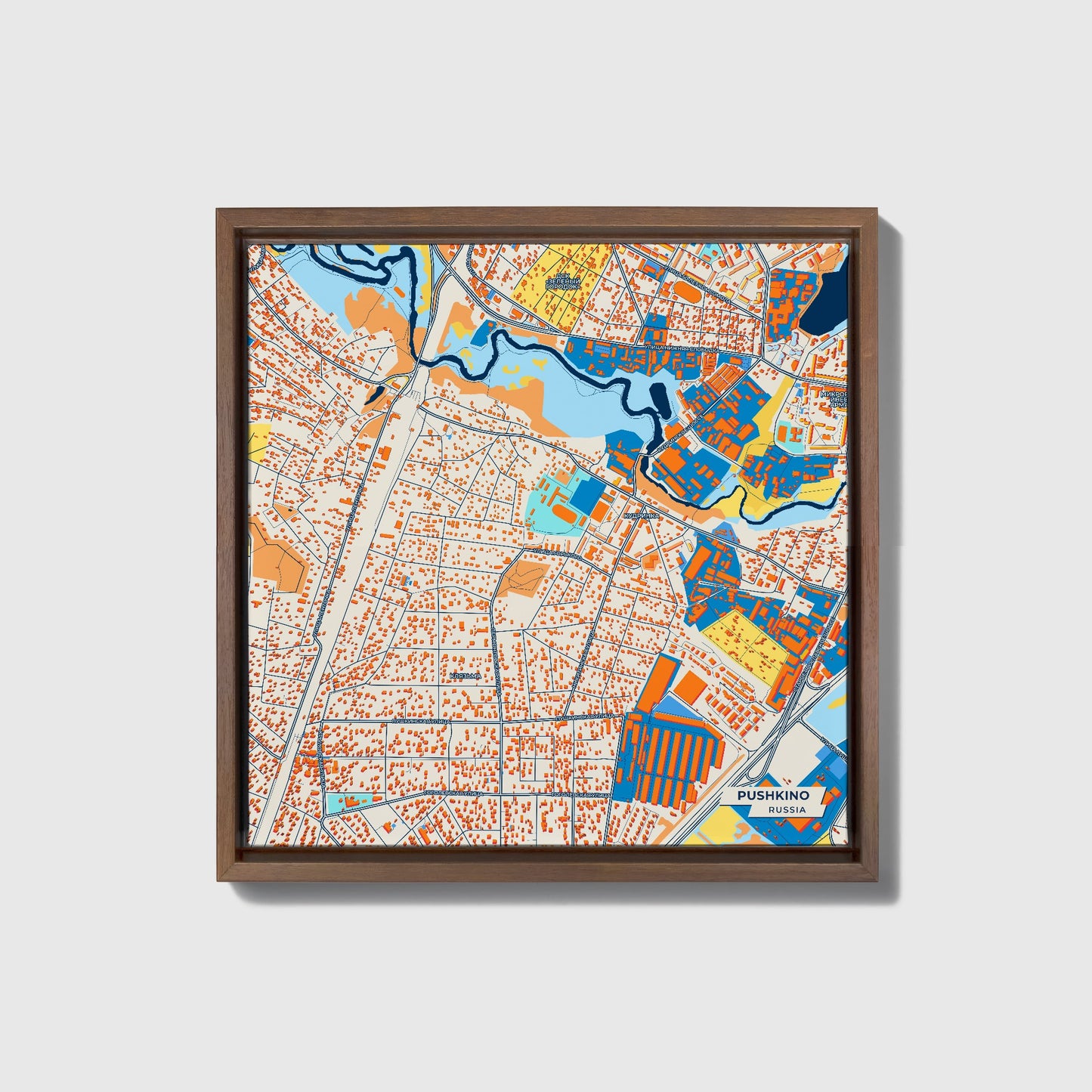 Пушкино Russia Colorful City Map Canvas Print • Dark Wooden Framed
