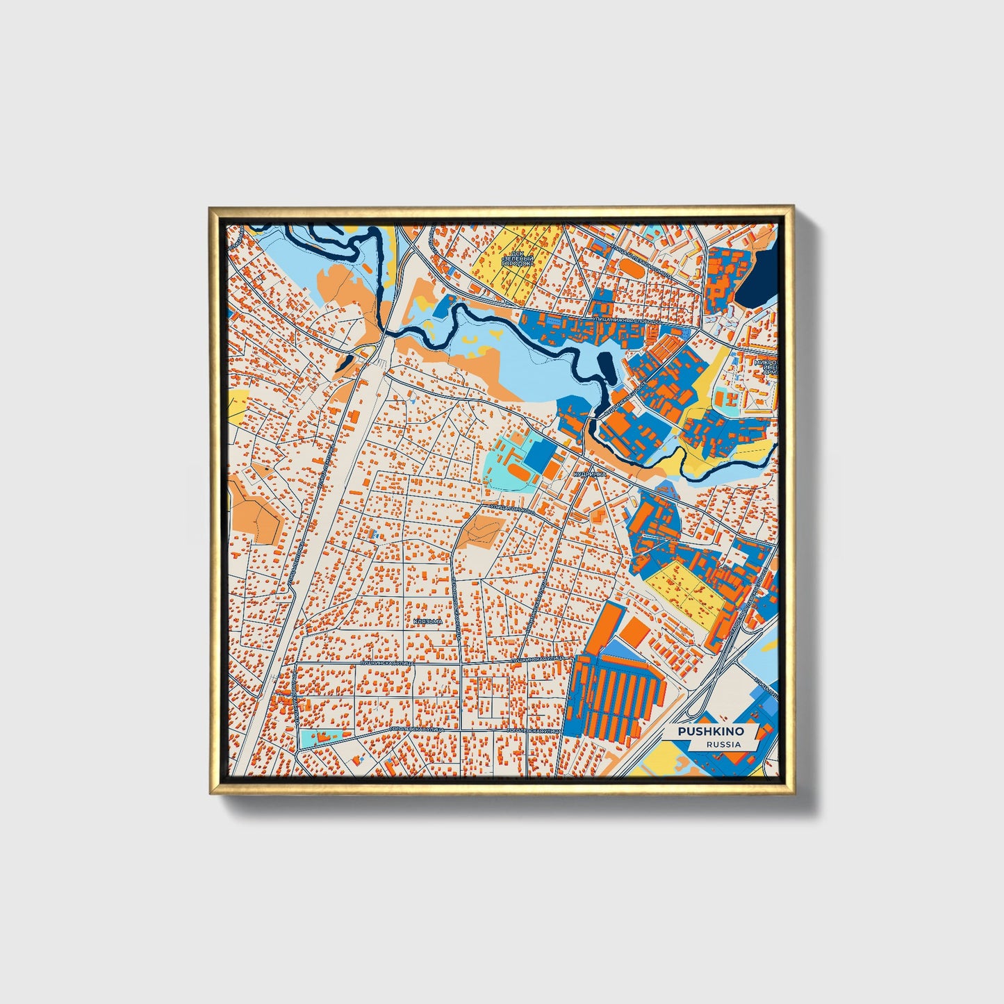 Пушкино Russia Colorful City Map Canvas Print • Gold Framed