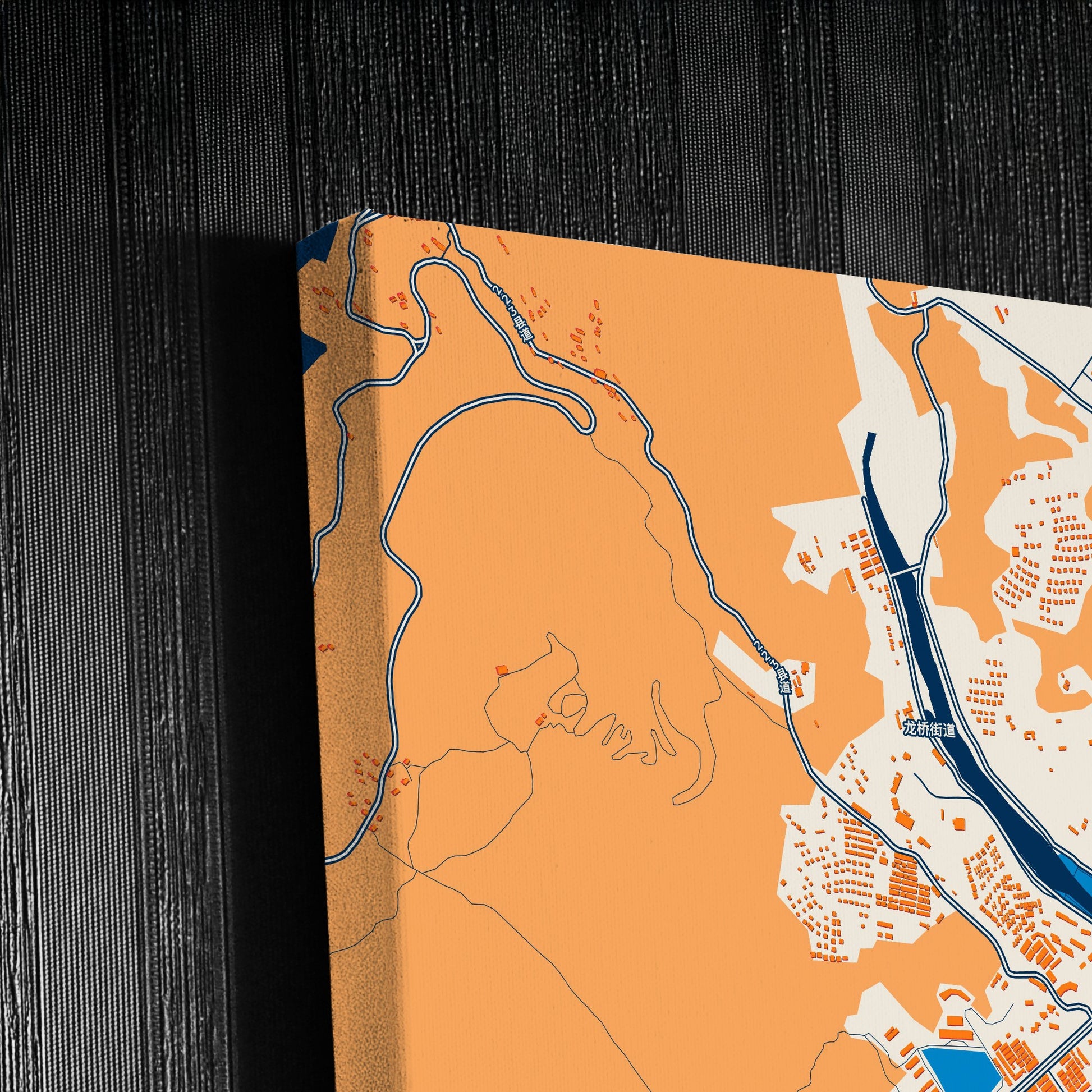 Putian China Colorful City Map Canvas Print Detail