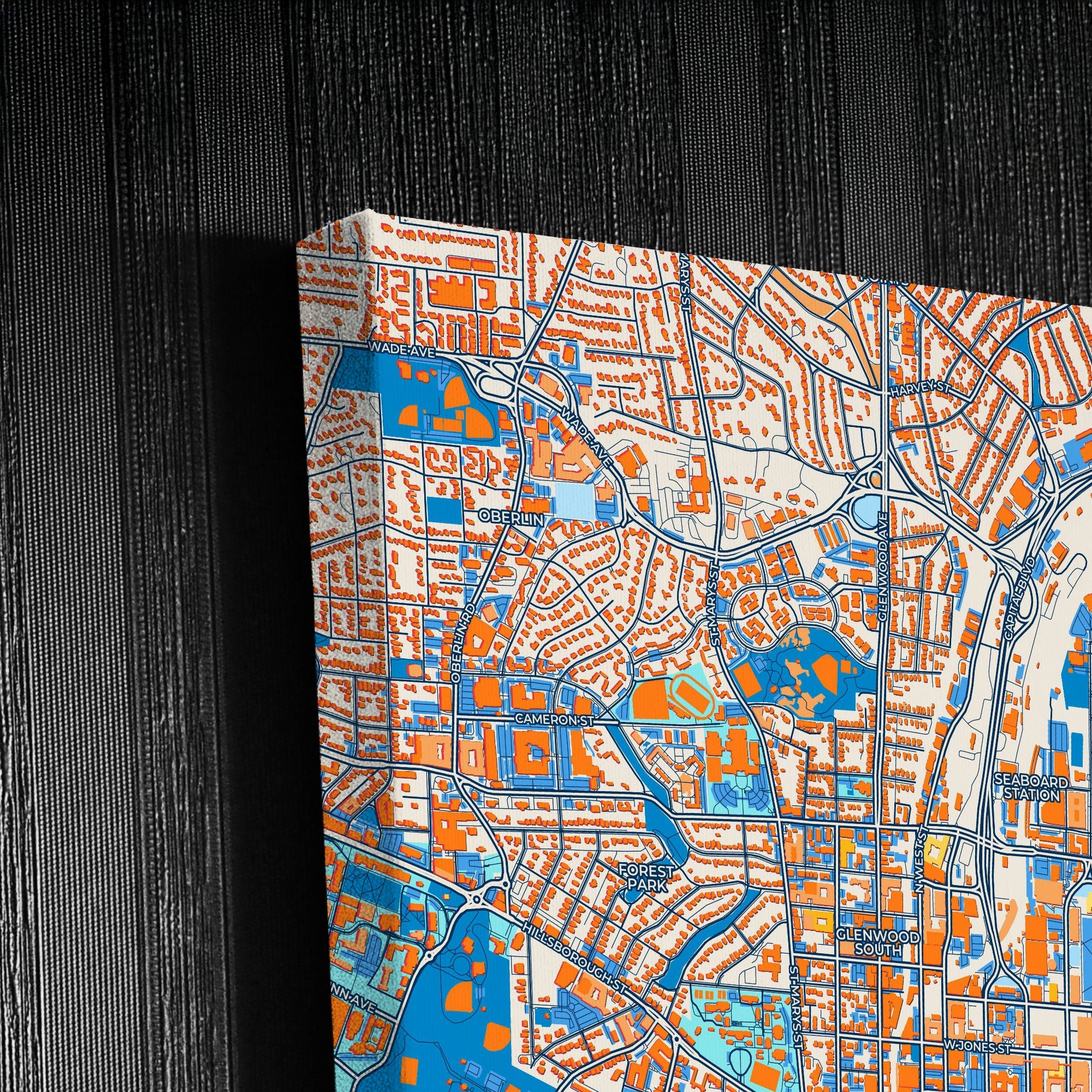 Raleigh North Carolina Colorful City Map Canvas Print Detail