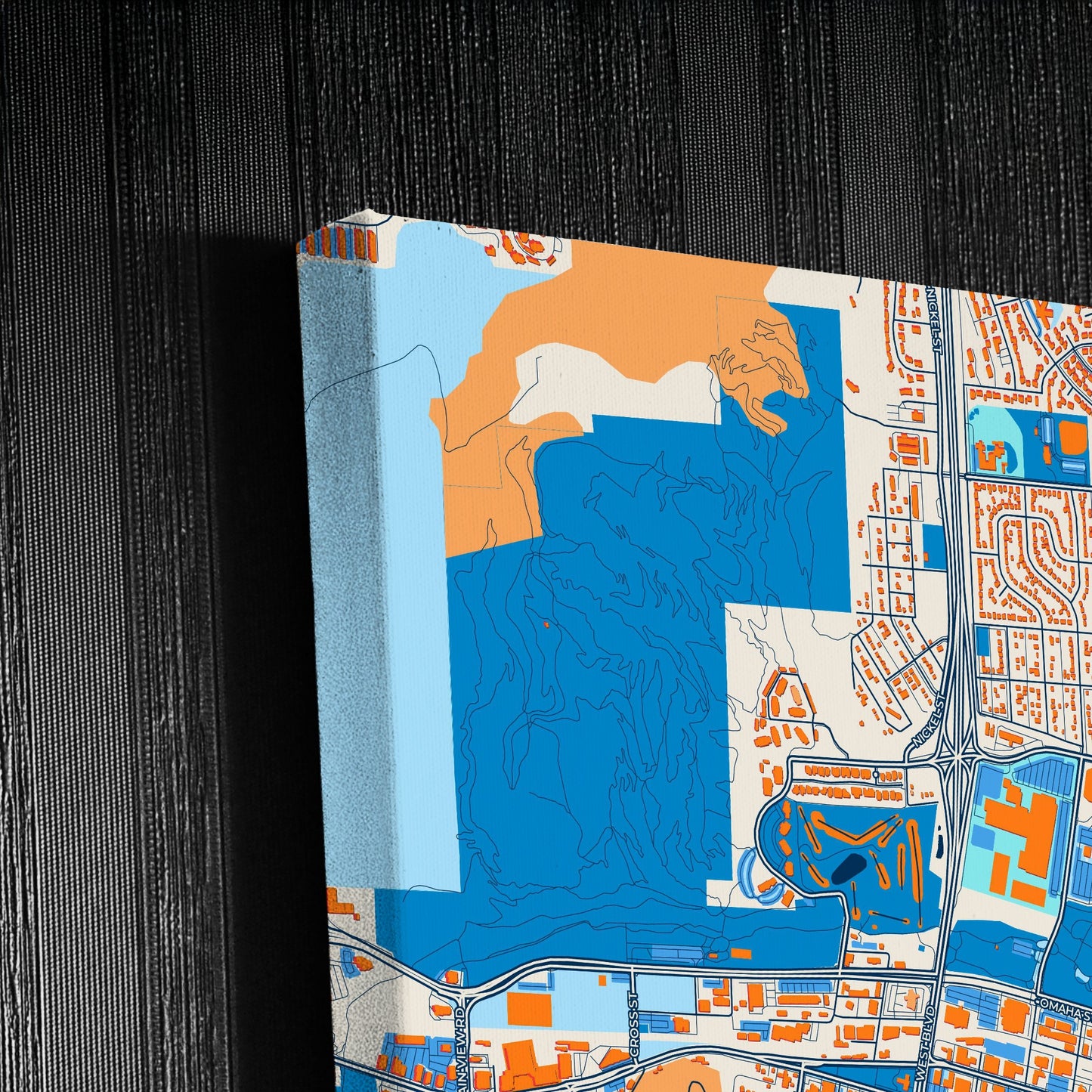 Rapid City South Dakota Colorful City Map Canvas Print Detail