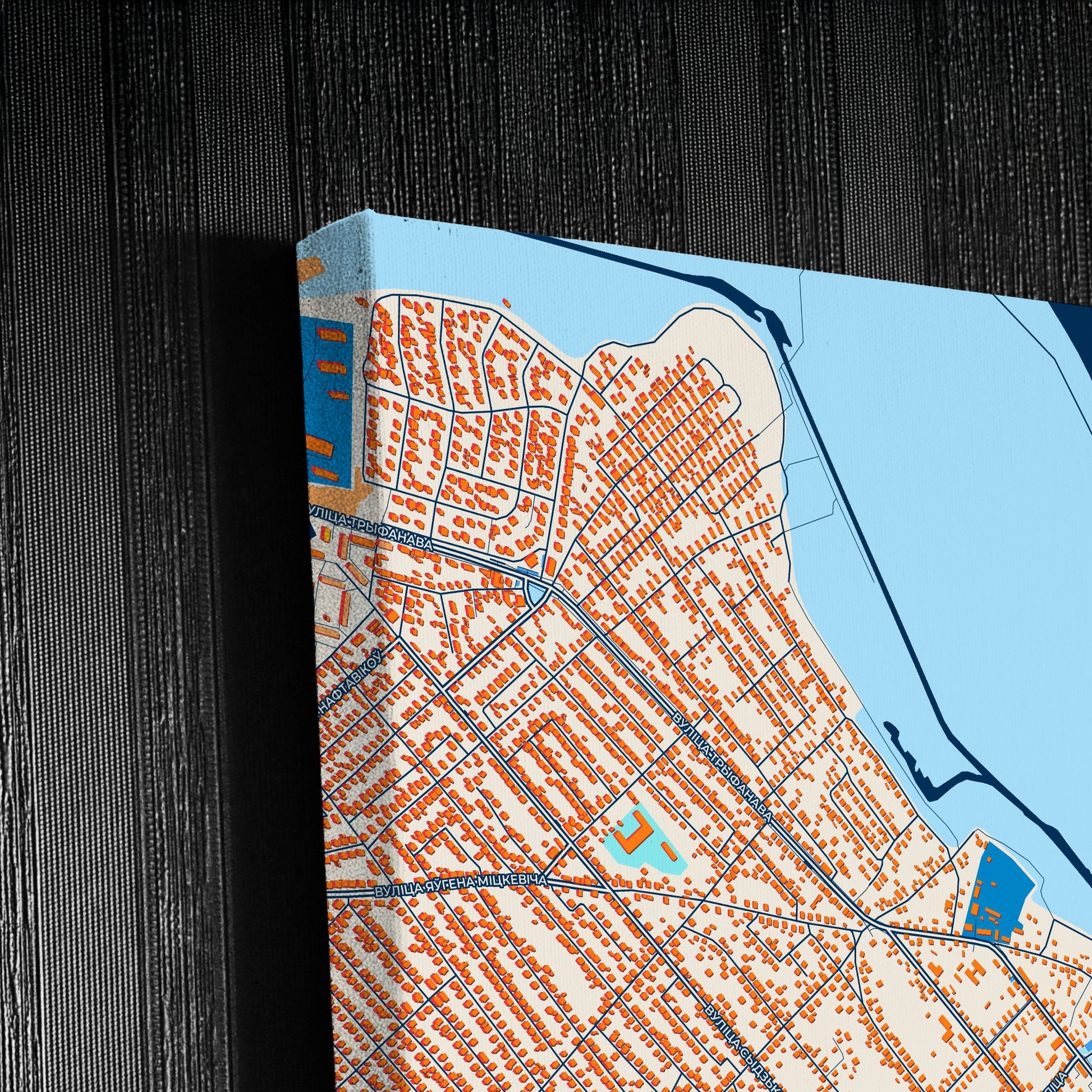 Речыца Belarus Colorful City Map Canvas Print Detail