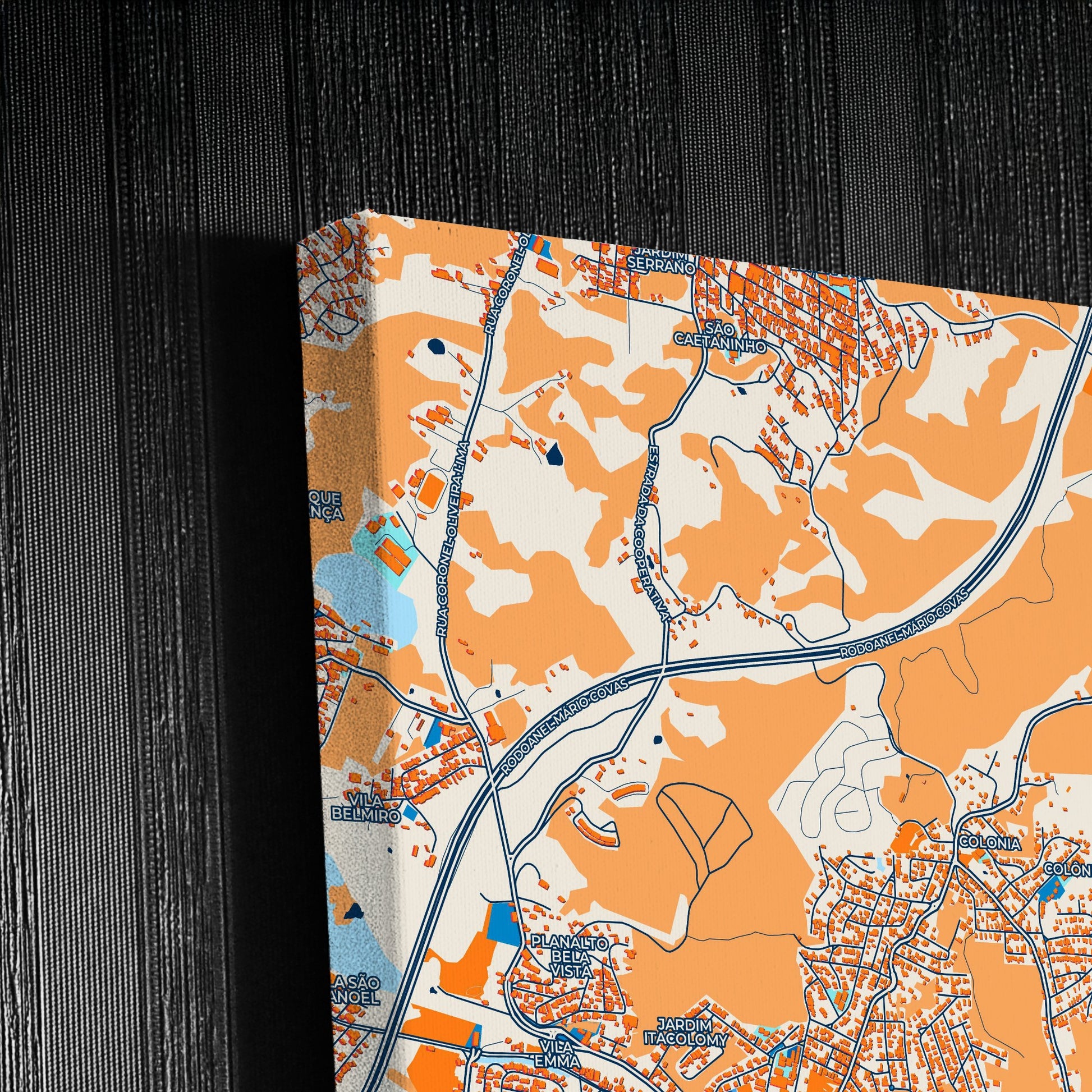 Ribeirao Pires Brazil Colorful City Map Canvas Print Detail