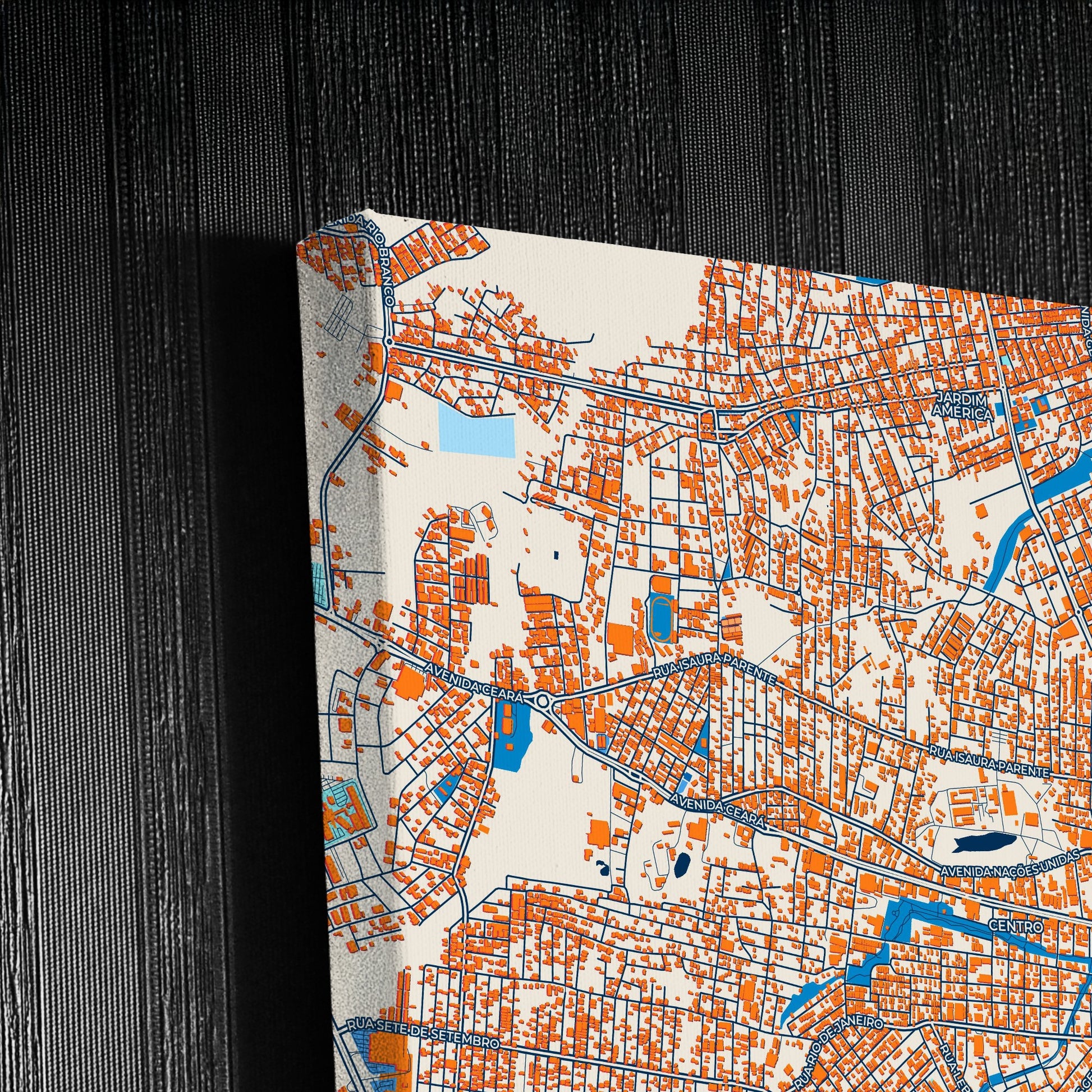 Rio Branco Brazil Colorful City Map Canvas Print Detail