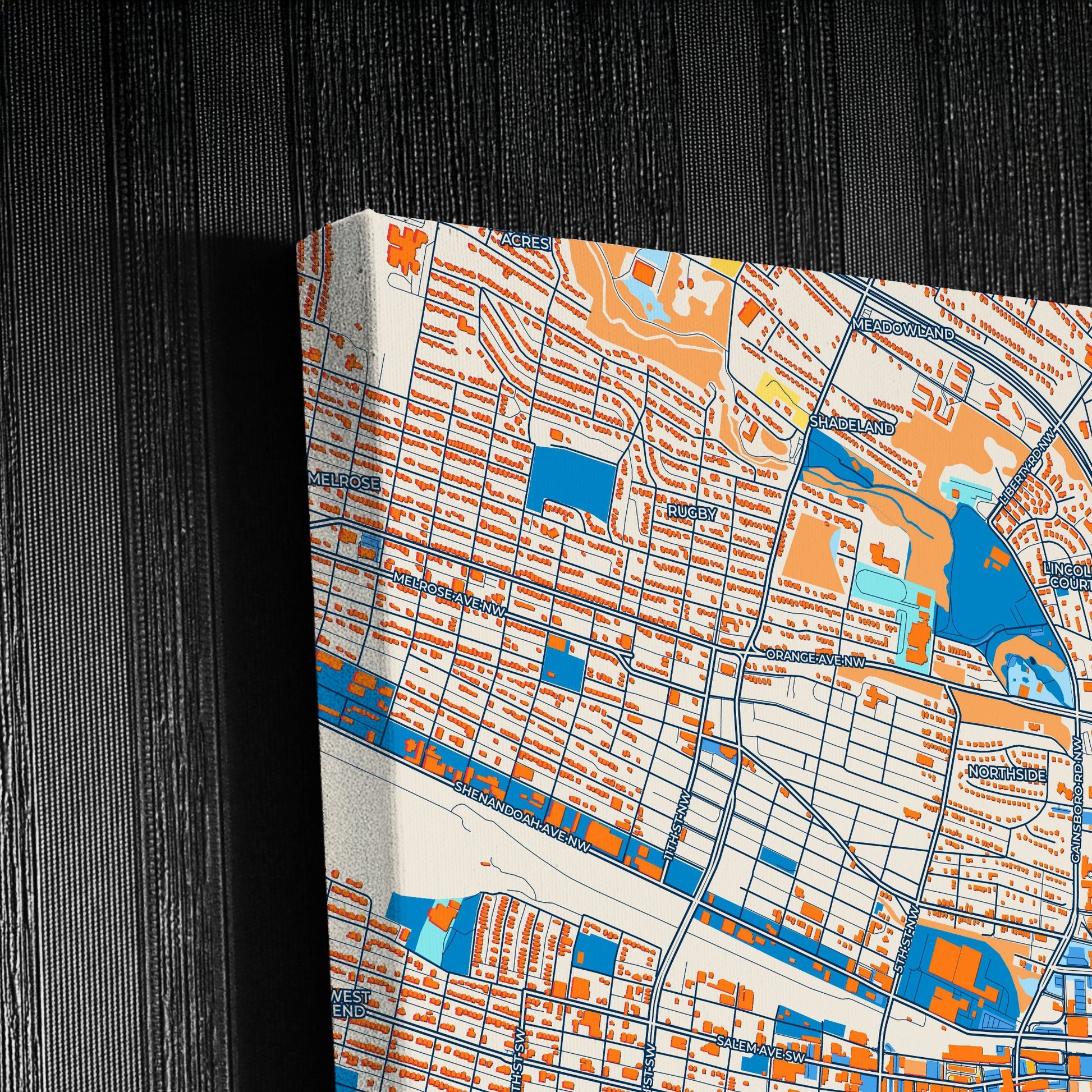 Roanoke Virginia Colorful City Map Canvas Print Detail