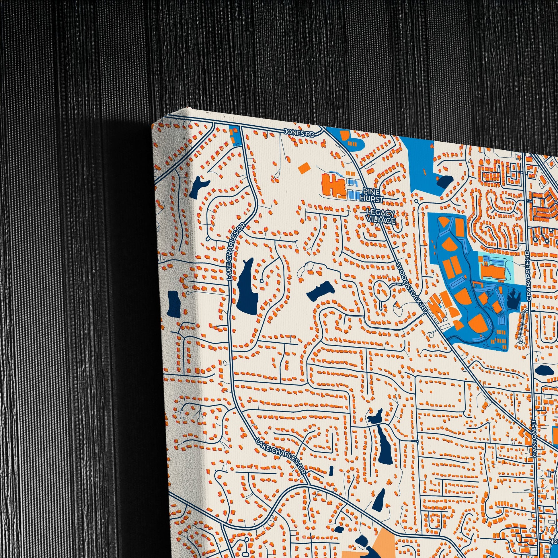 Roswell Georgia Colorful City Map Canvas Print Detail