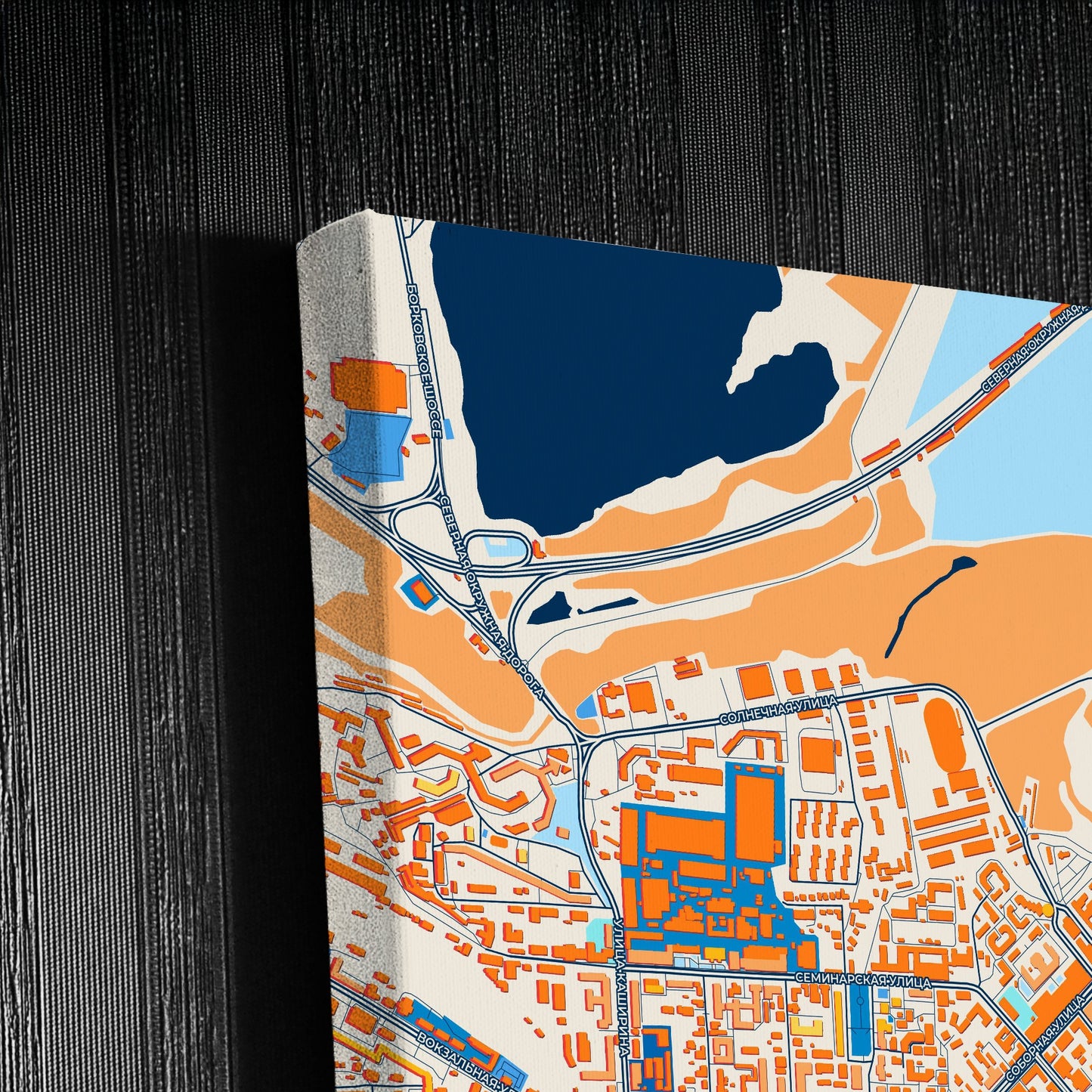 Рязанский Russia Colorful City Map Canvas Print Detail