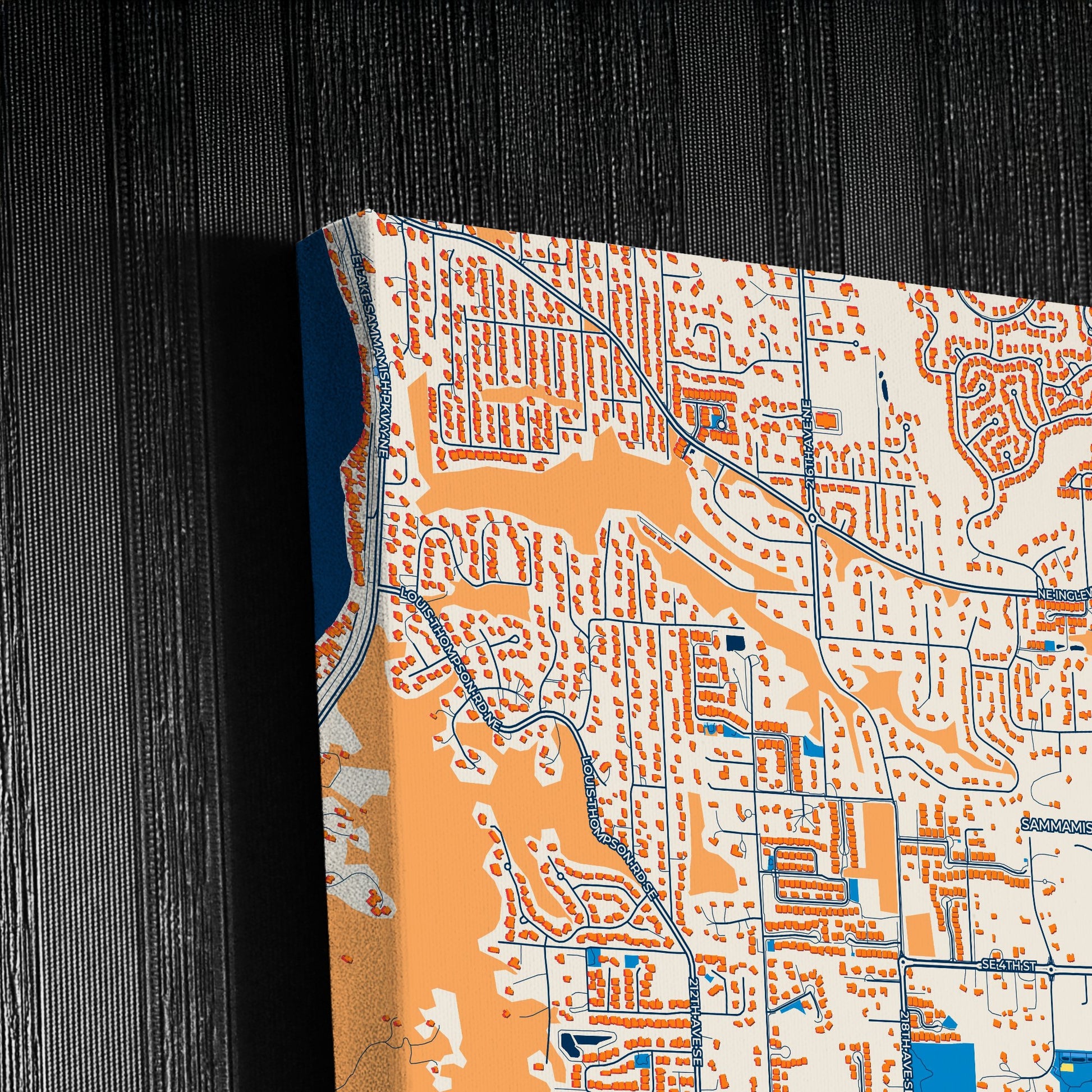 Sammamish Washington Colorful City Map Canvas Print Detail
