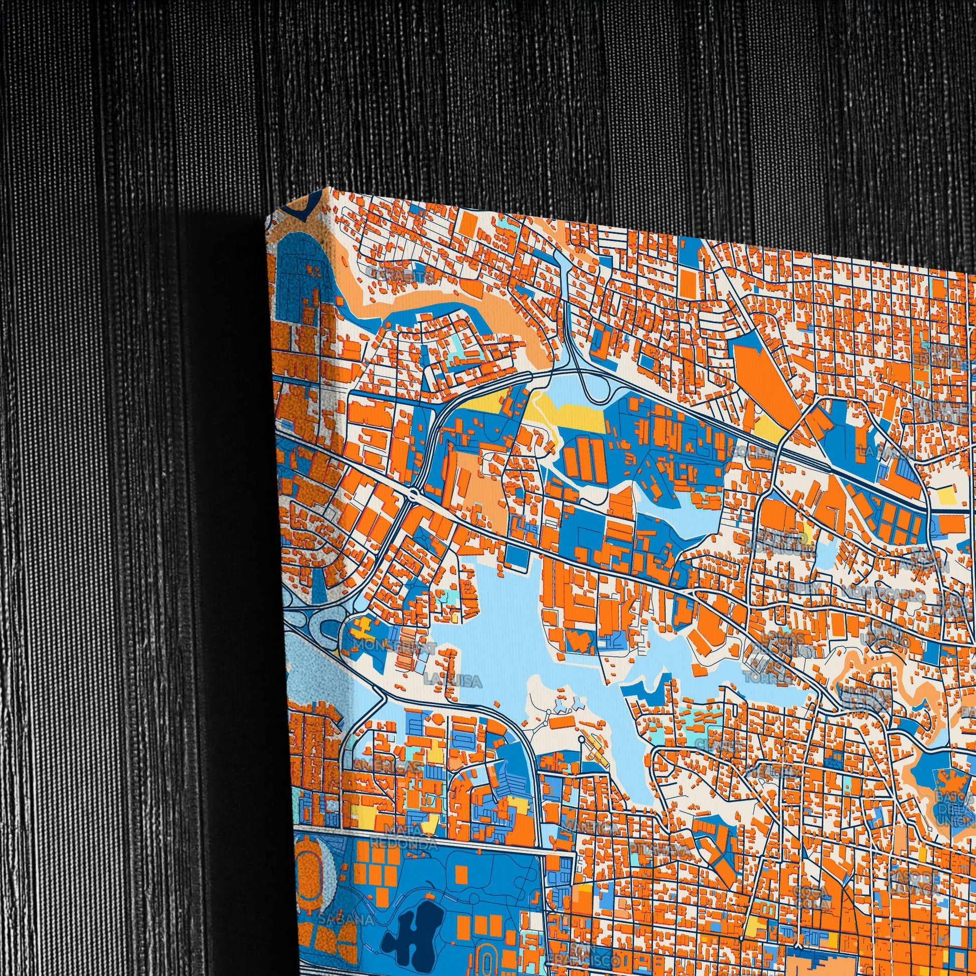 San José Costa Rica Colorful City Map Canvas Print Detail