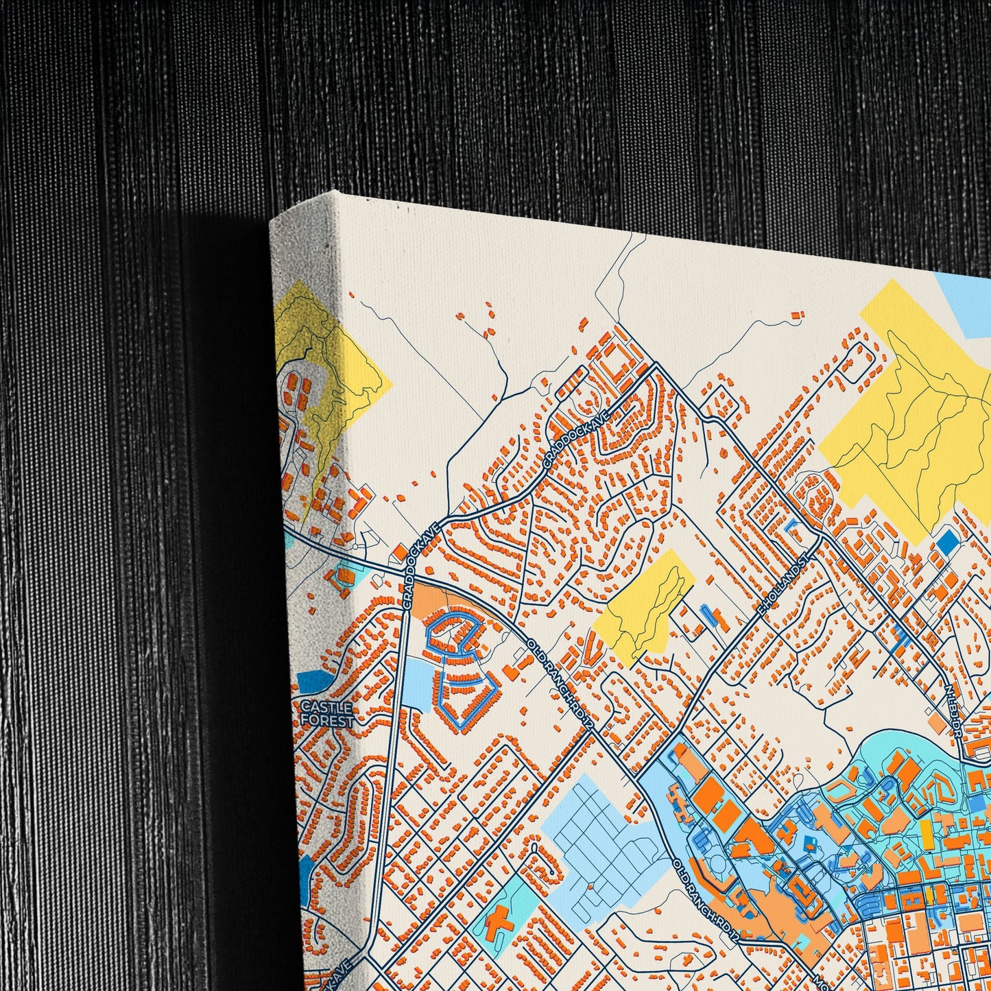 San Marcos Texas Colorful City Map Canvas Print Detail