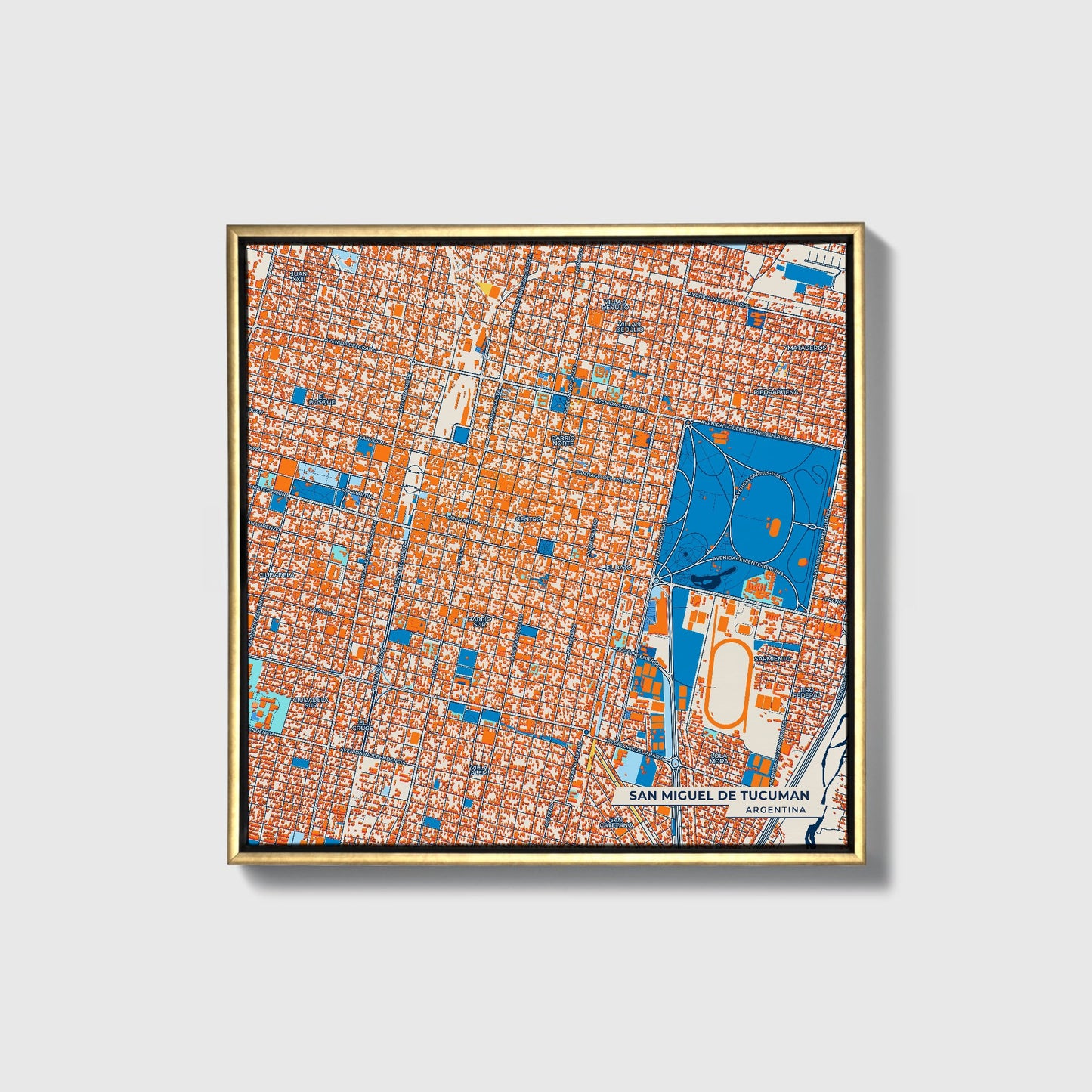 San Miguel De Tucuman Argentina Colorful City Map Canvas Print • Gold Framed