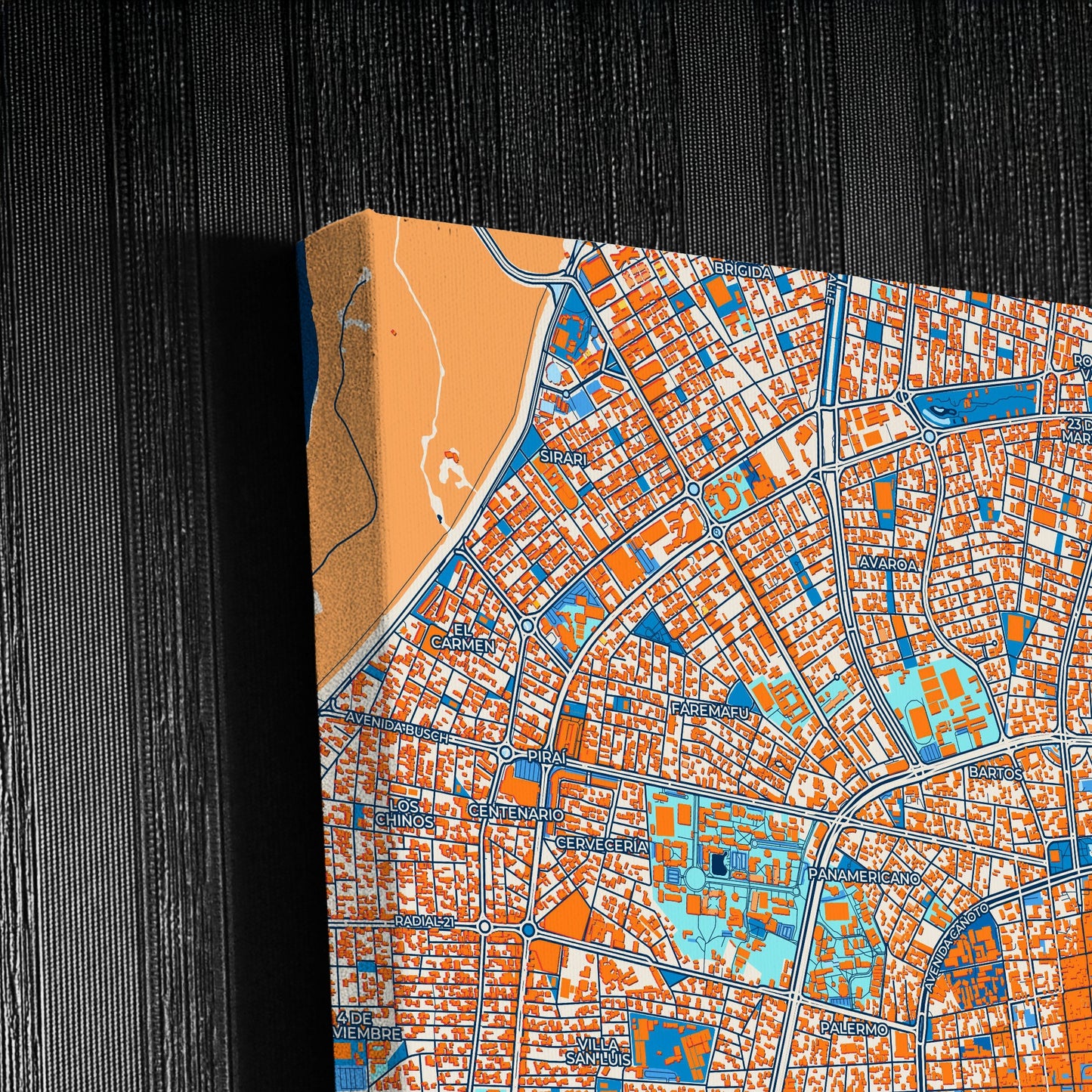 Santa Cruz De La Sierra Bolivia Colorful City Map Canvas Print Detail