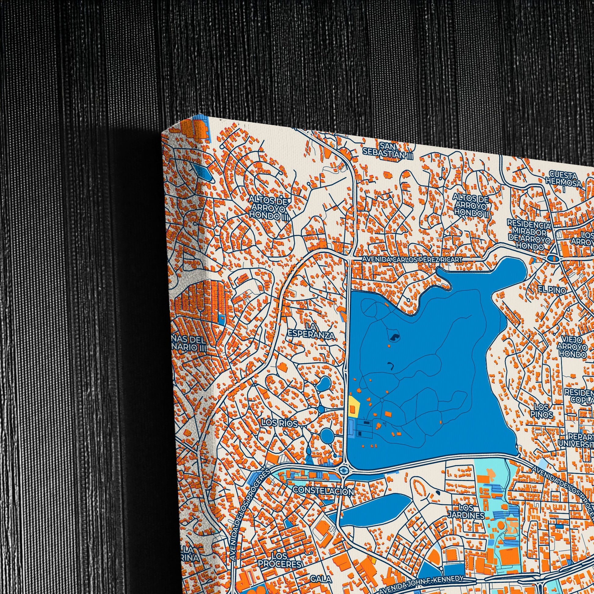 Santo Domingo Dominican Republic Colorful City Map Canvas Print Detail