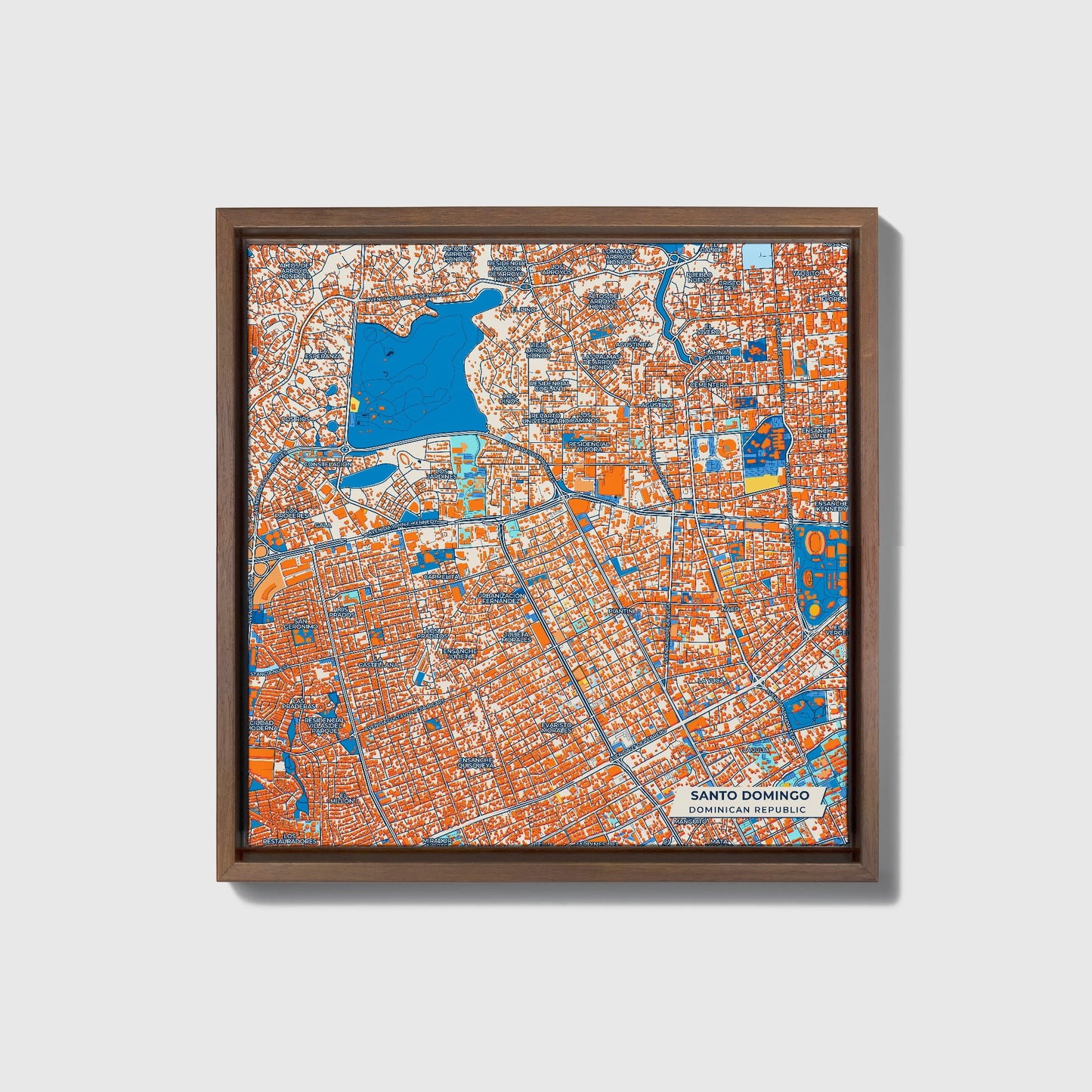 Santo Domingo Dominican Republic Colorful City Map Canvas Print • Dark Wooden Framed