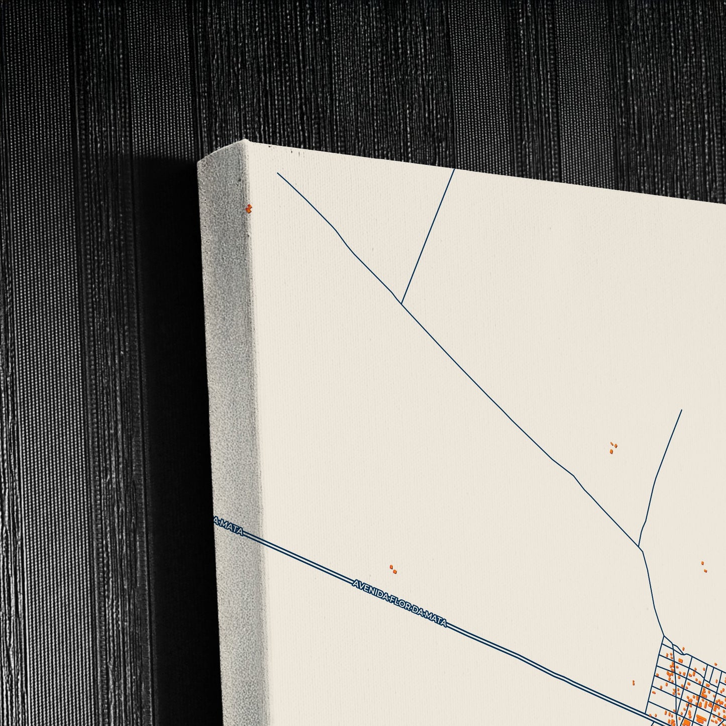 Sapucaia Brazil Colorful City Map Canvas Print Detail