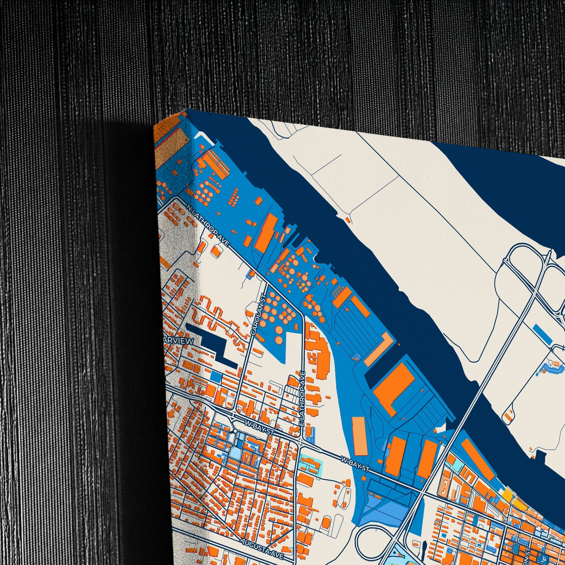 Savannah Georgia Colorful City Map Canvas Print Detail