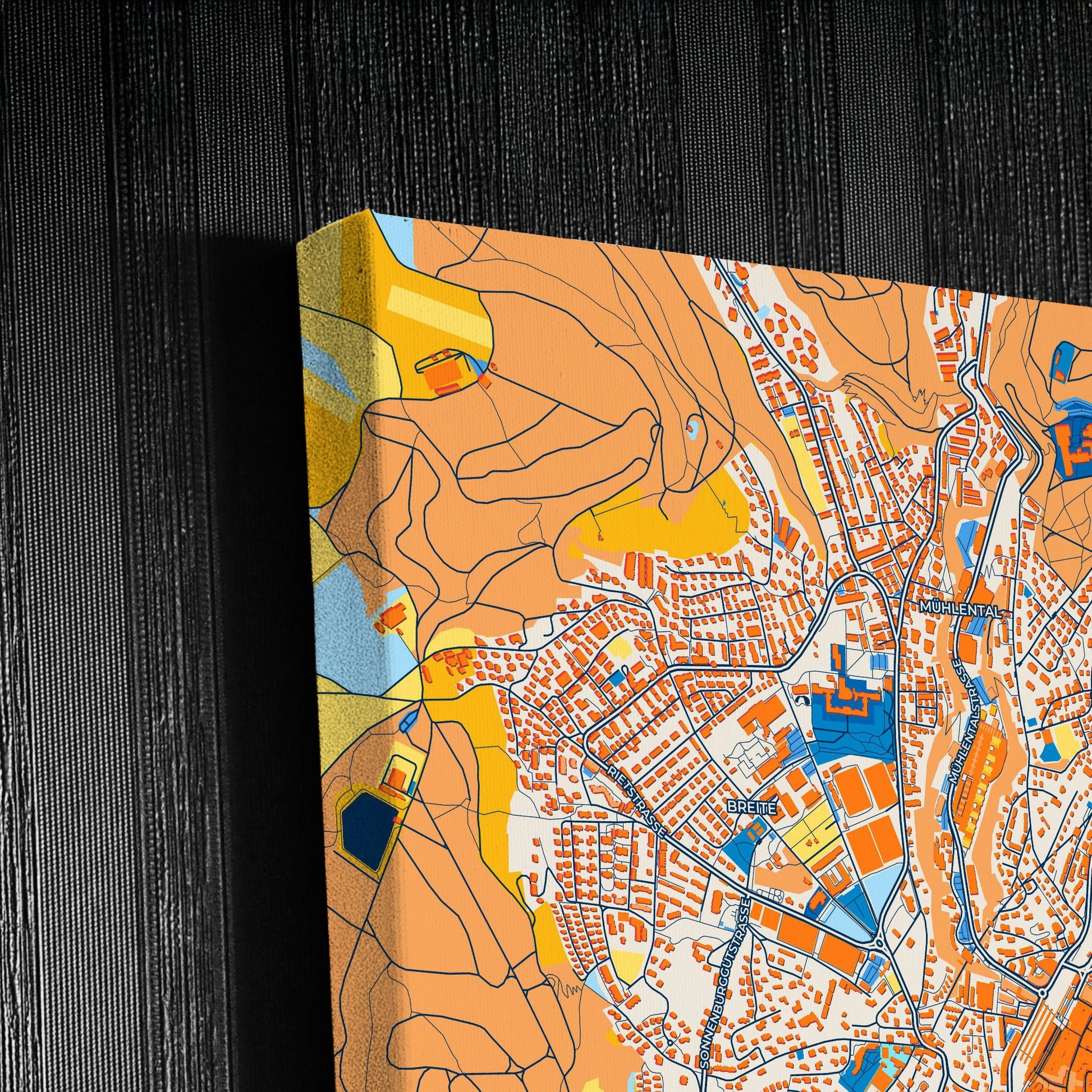 Schaffhausen Switzerland Colorful City Map Canvas Print Detail