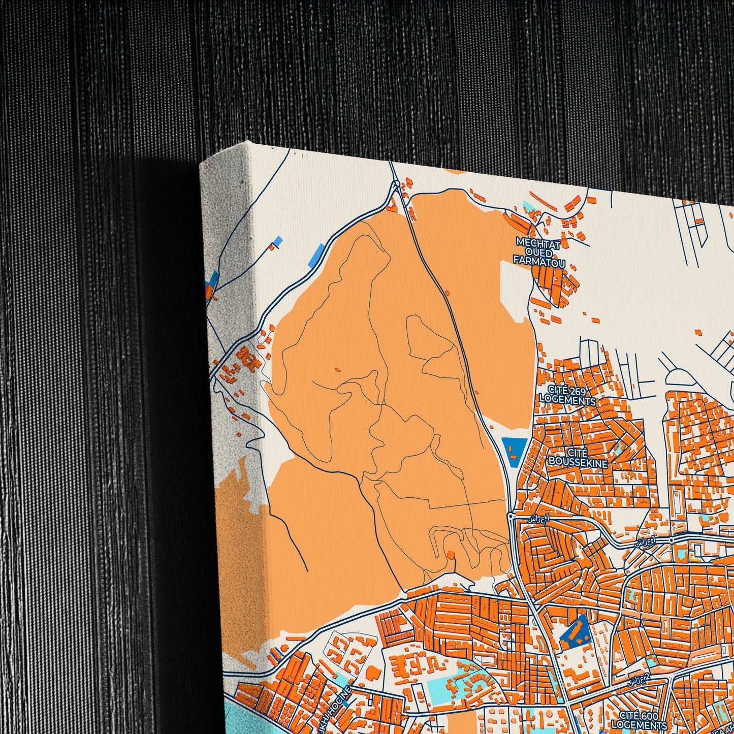Setif Algeria Colorful City Map Canvas Print Detail