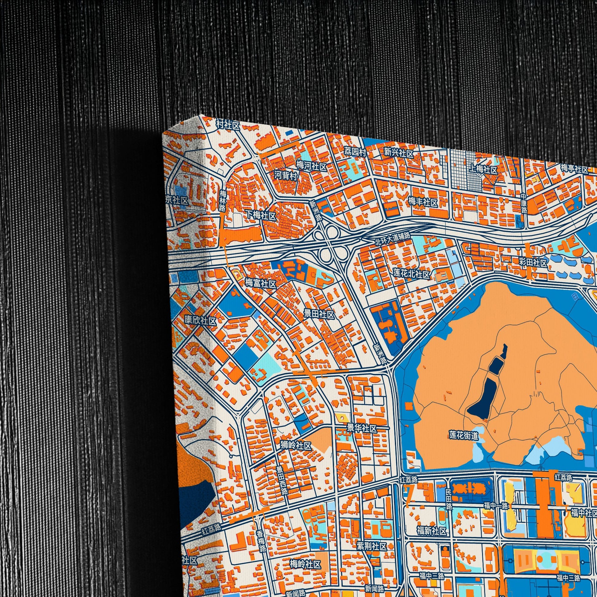 Shenzhen China Colorful City Map Canvas Print Detail