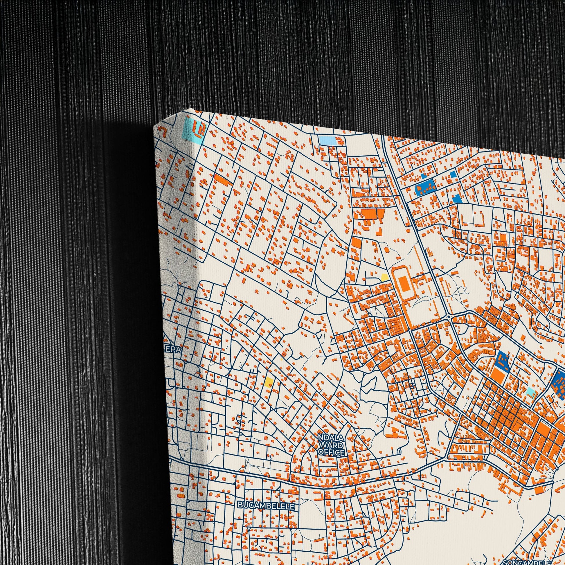 Shinyanga Tanzania Colorful City Map Canvas Print Detail