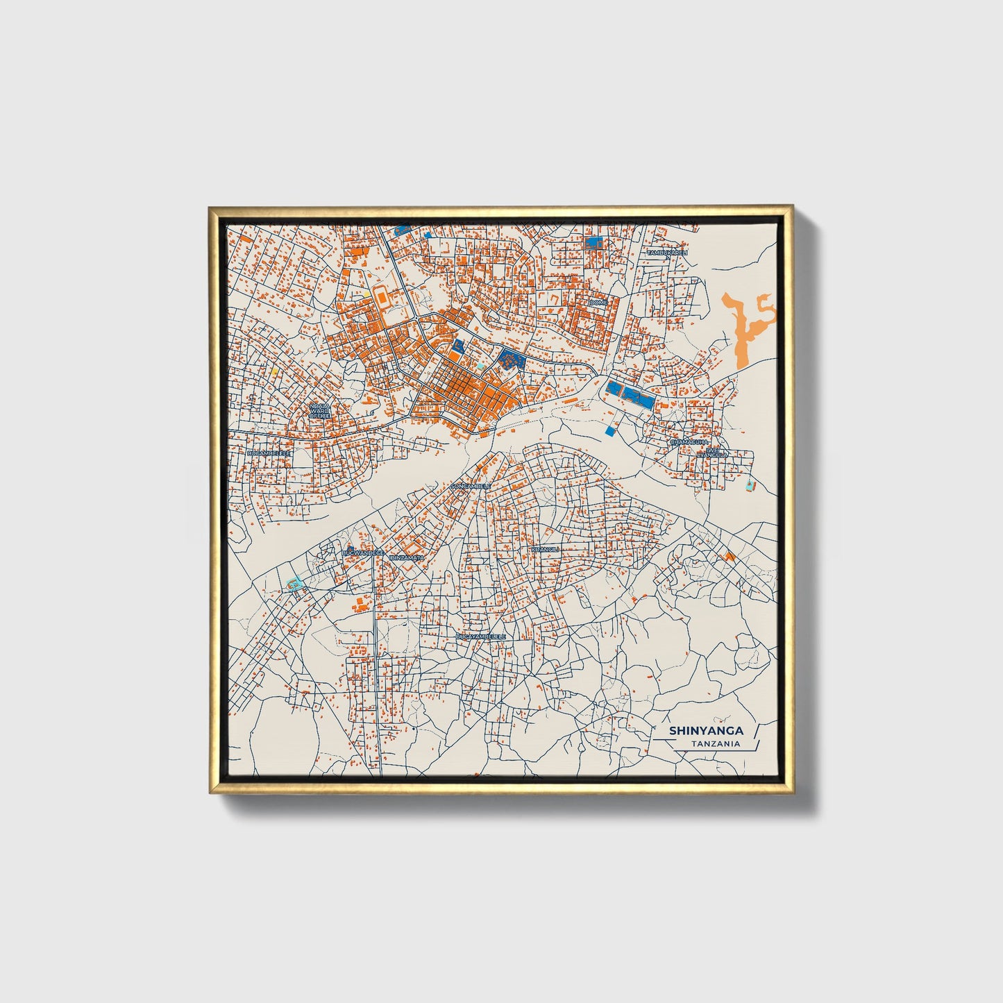 Shinyanga Tanzania Colorful City Map Canvas Print • Gold Framed