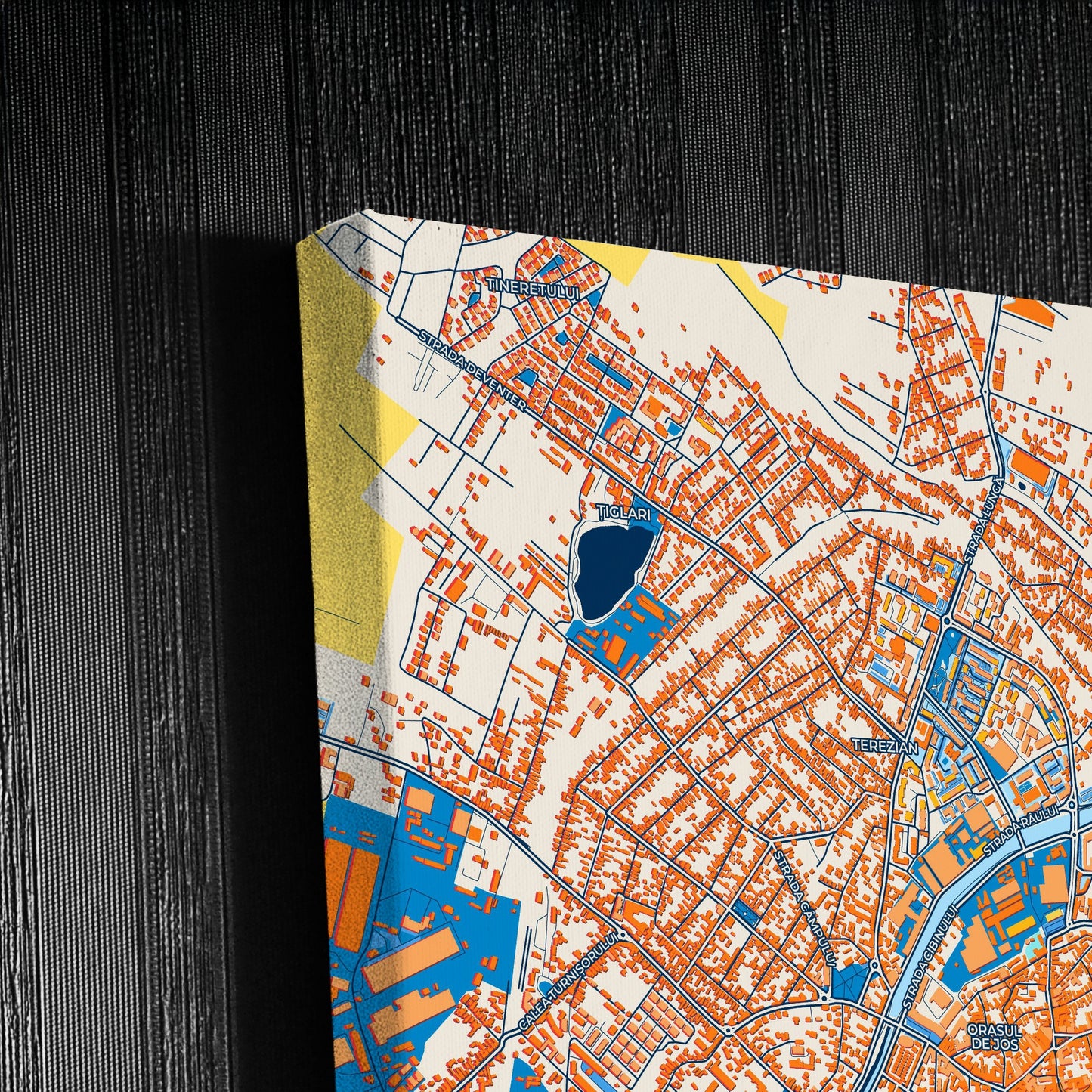 Sibiu Romania Colorful City Map Canvas Print Detail