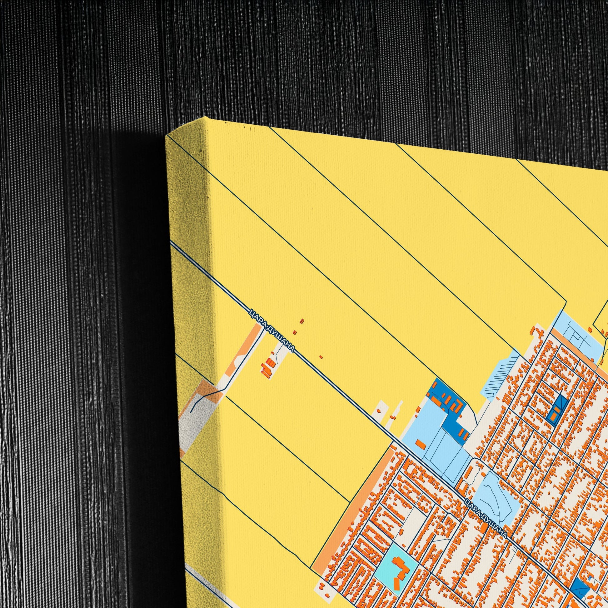 Шид Serbia Colorful City Map Canvas Print Detail