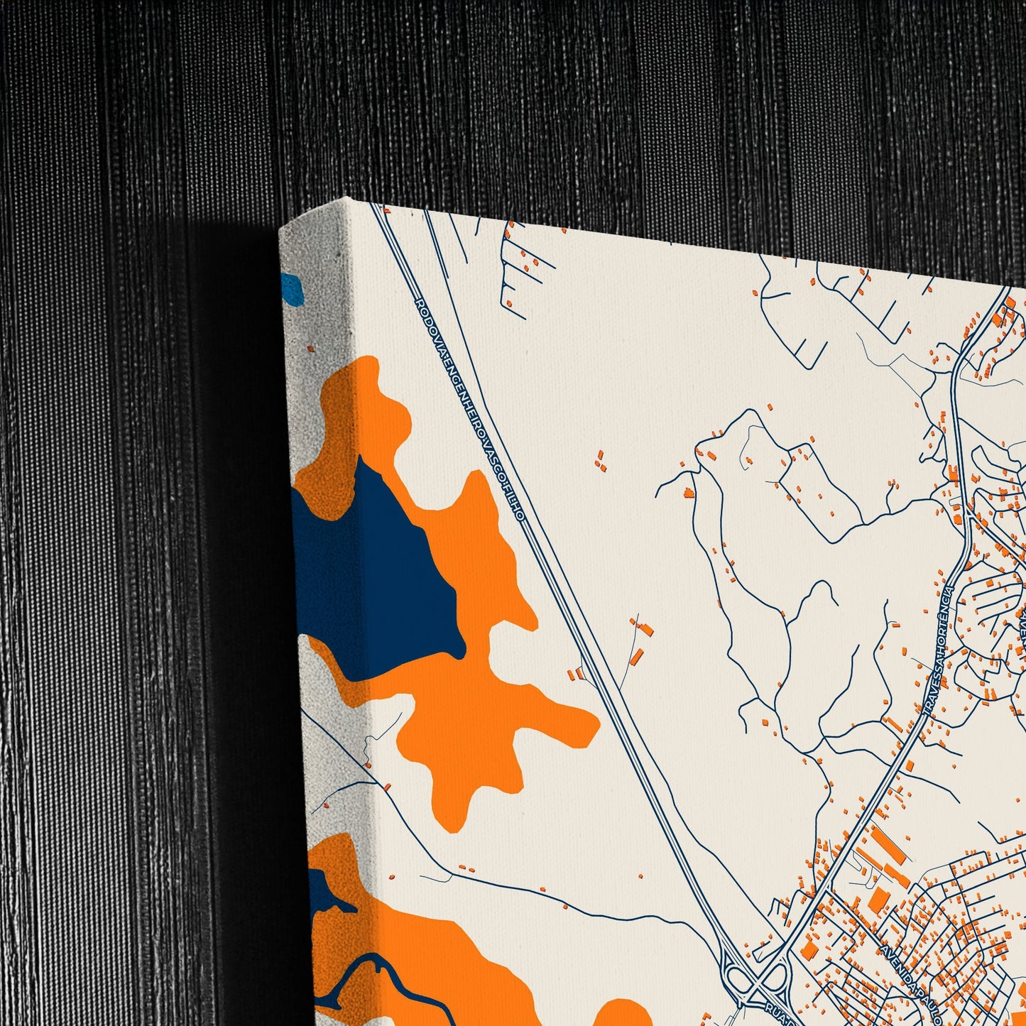 Simoes Filho Brazil Colorful City Map Canvas Print Detail