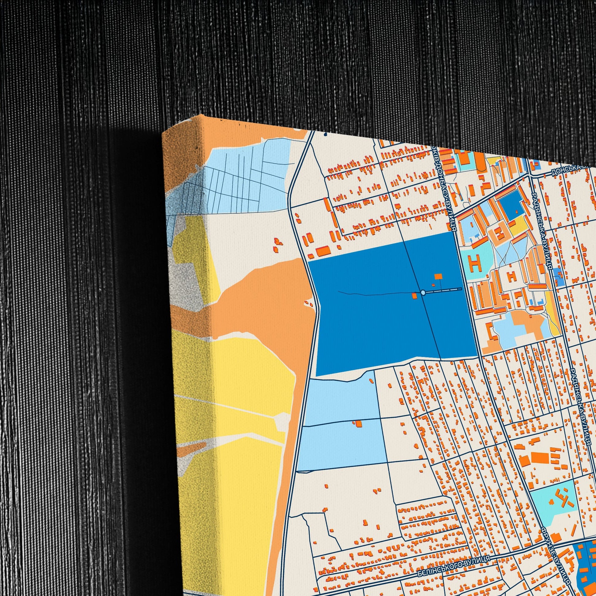 Сніжне Ukraine Colorful City Map Canvas Print Detail