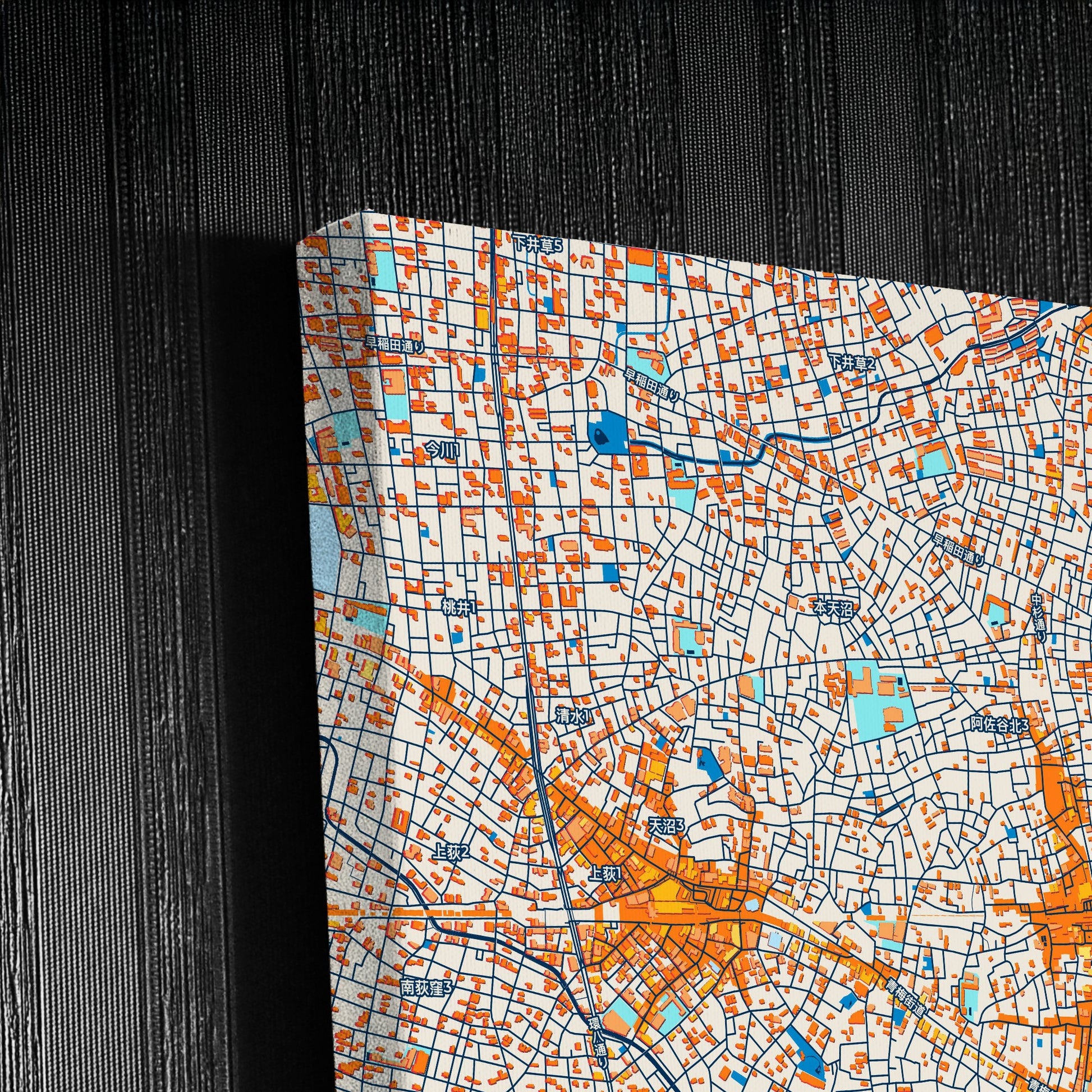 Suginami Japan Colorful City Map Canvas Print Detail