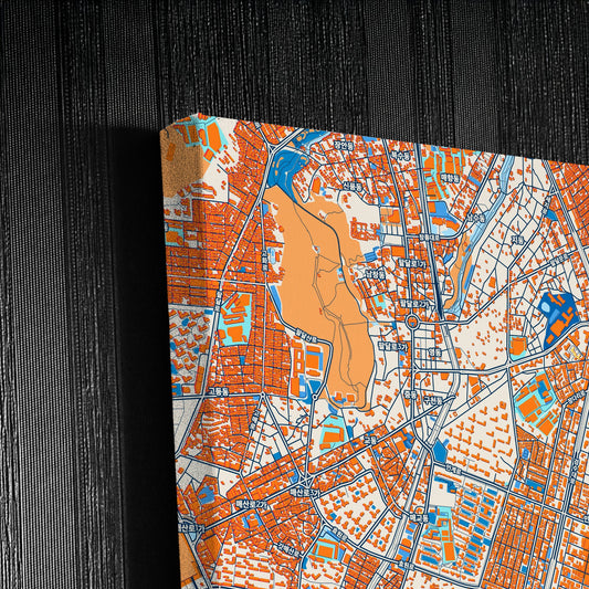 Suwon South Korea Colorful City Map Canvas Print Detail