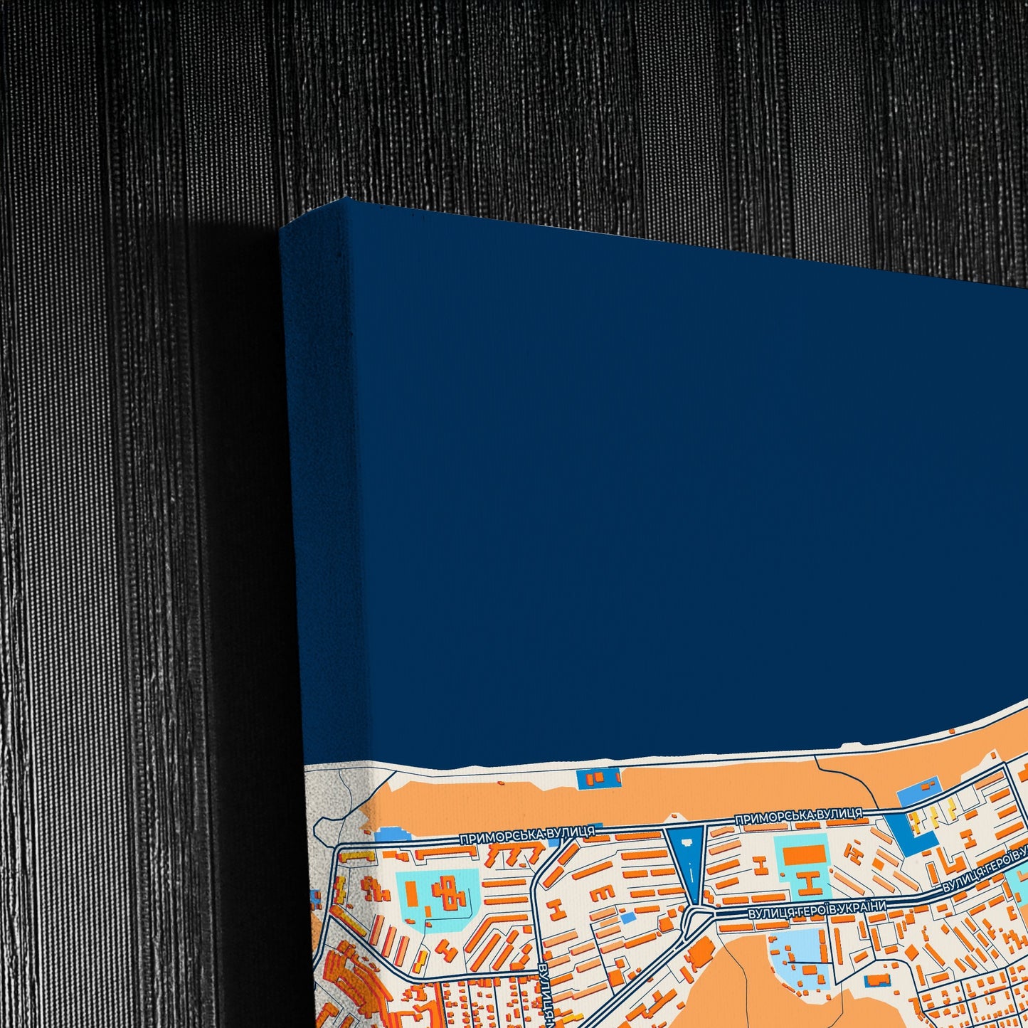 Світловодськ Ukraine Colorful City Map Canvas Print Detail