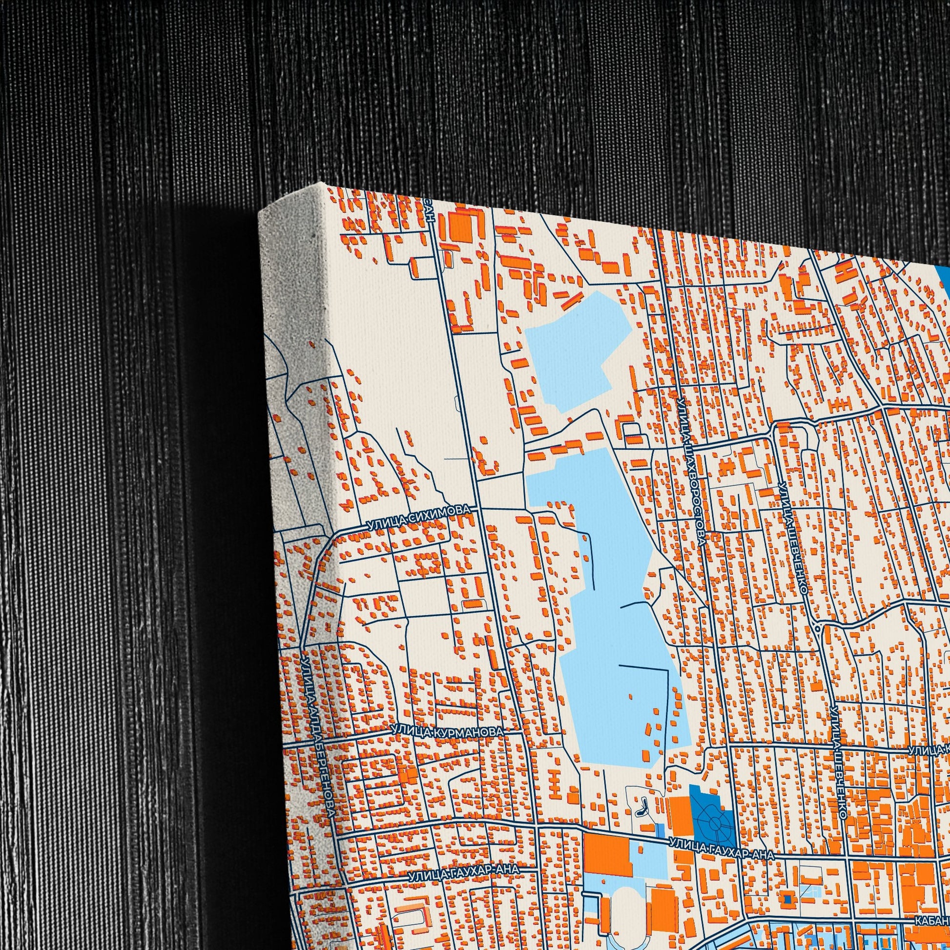 Taldykorgan Kazakhstan Colorful City Map Canvas Print Detail