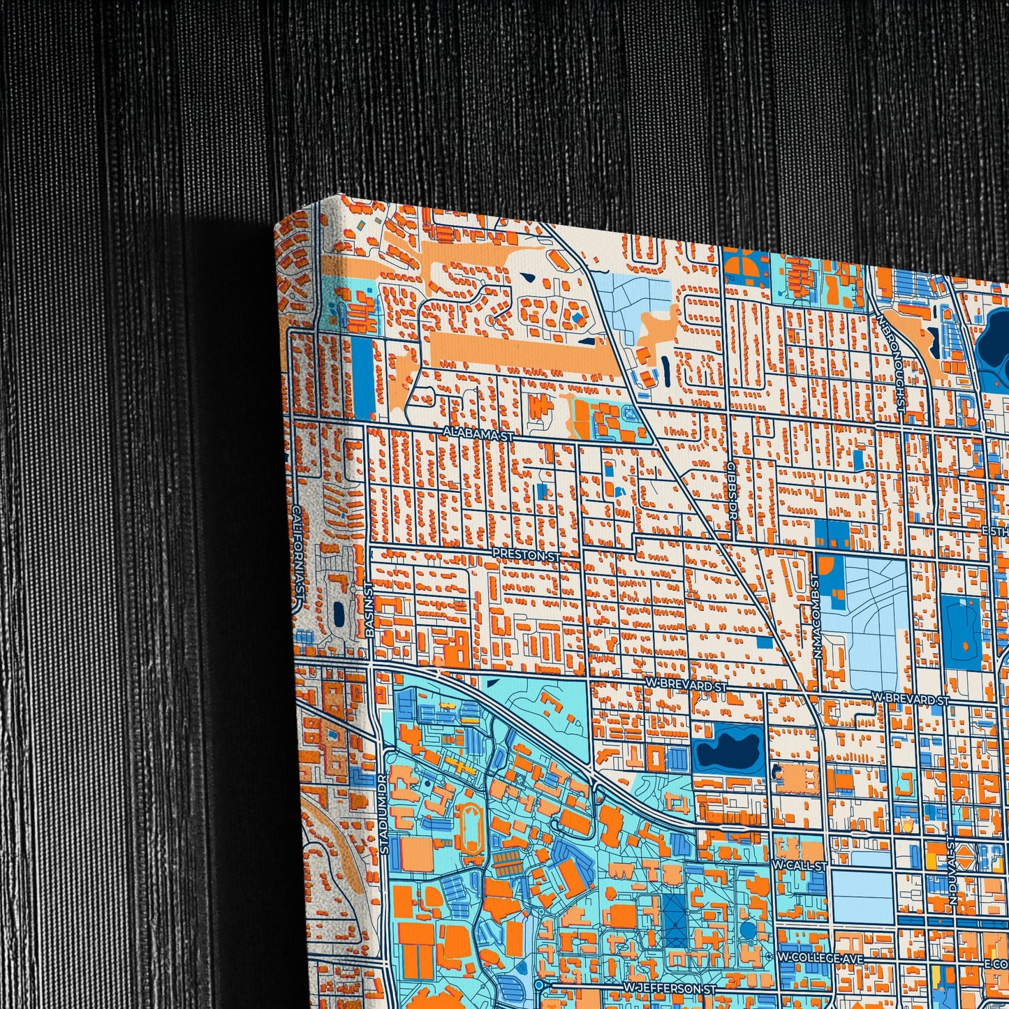 Tallahassee Florida Colorful City Map Canvas Print Detail