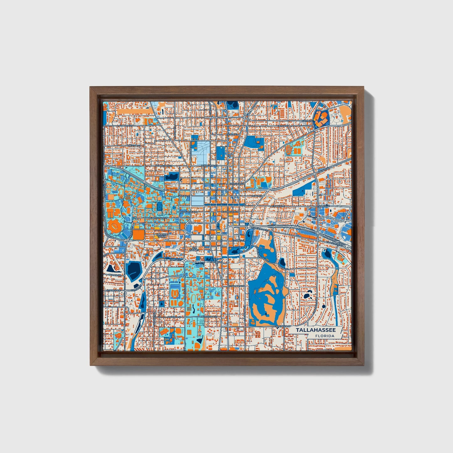 Tallahassee Florida Colorful City Map Canvas Print • Dark Wooden Framed