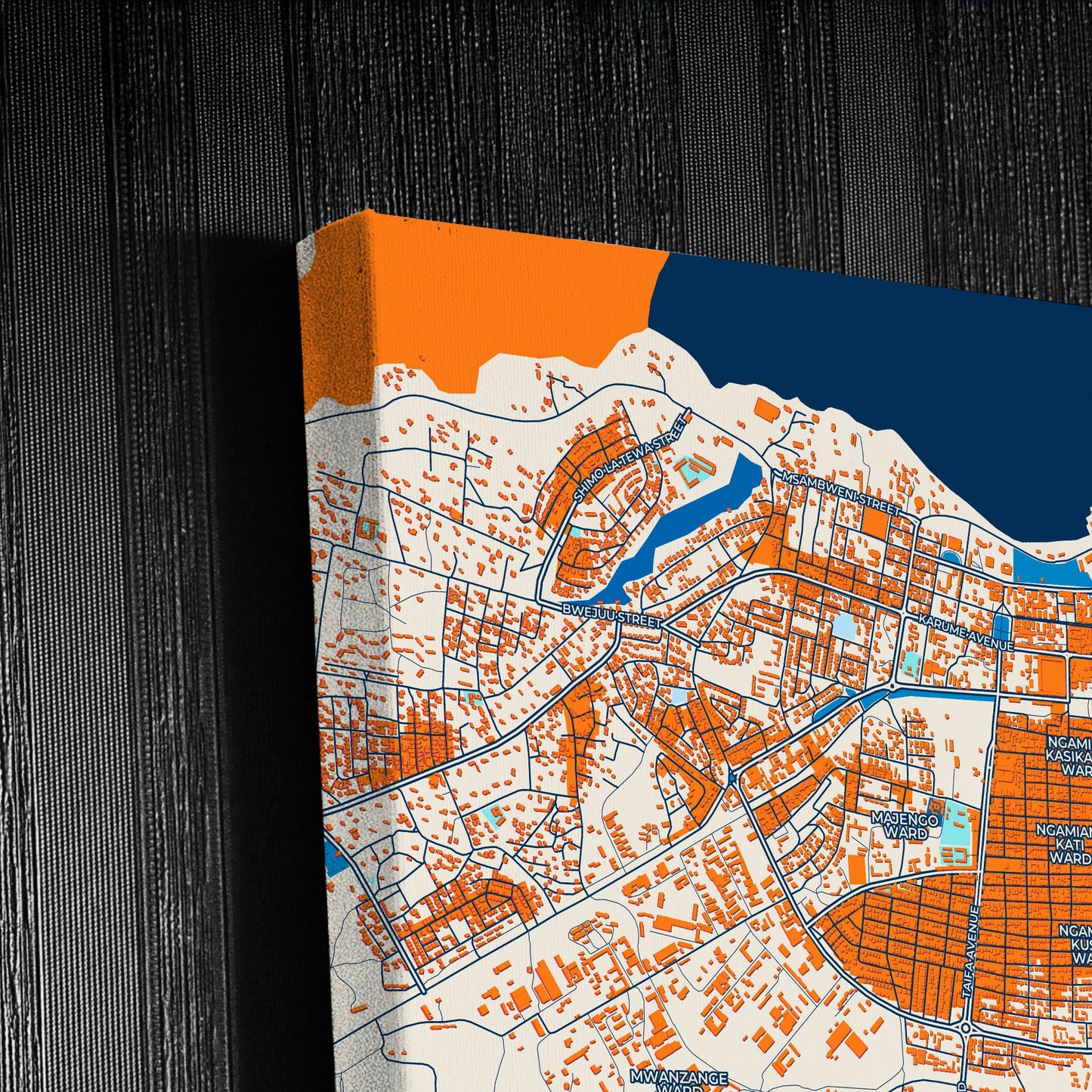 Tanga Tanzania Colorful City Map Canvas Print Detail